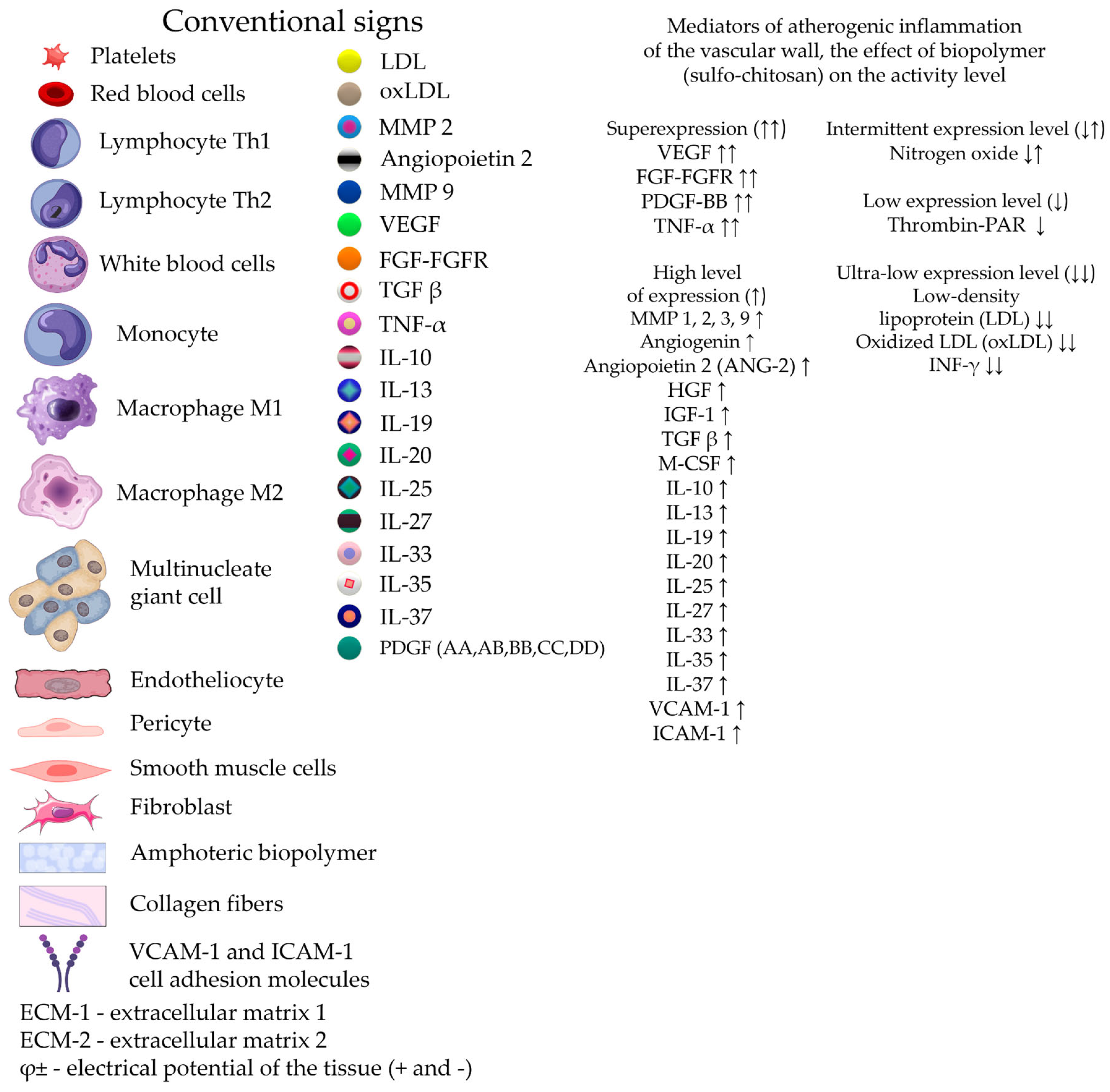 Preprints 116862 g012a