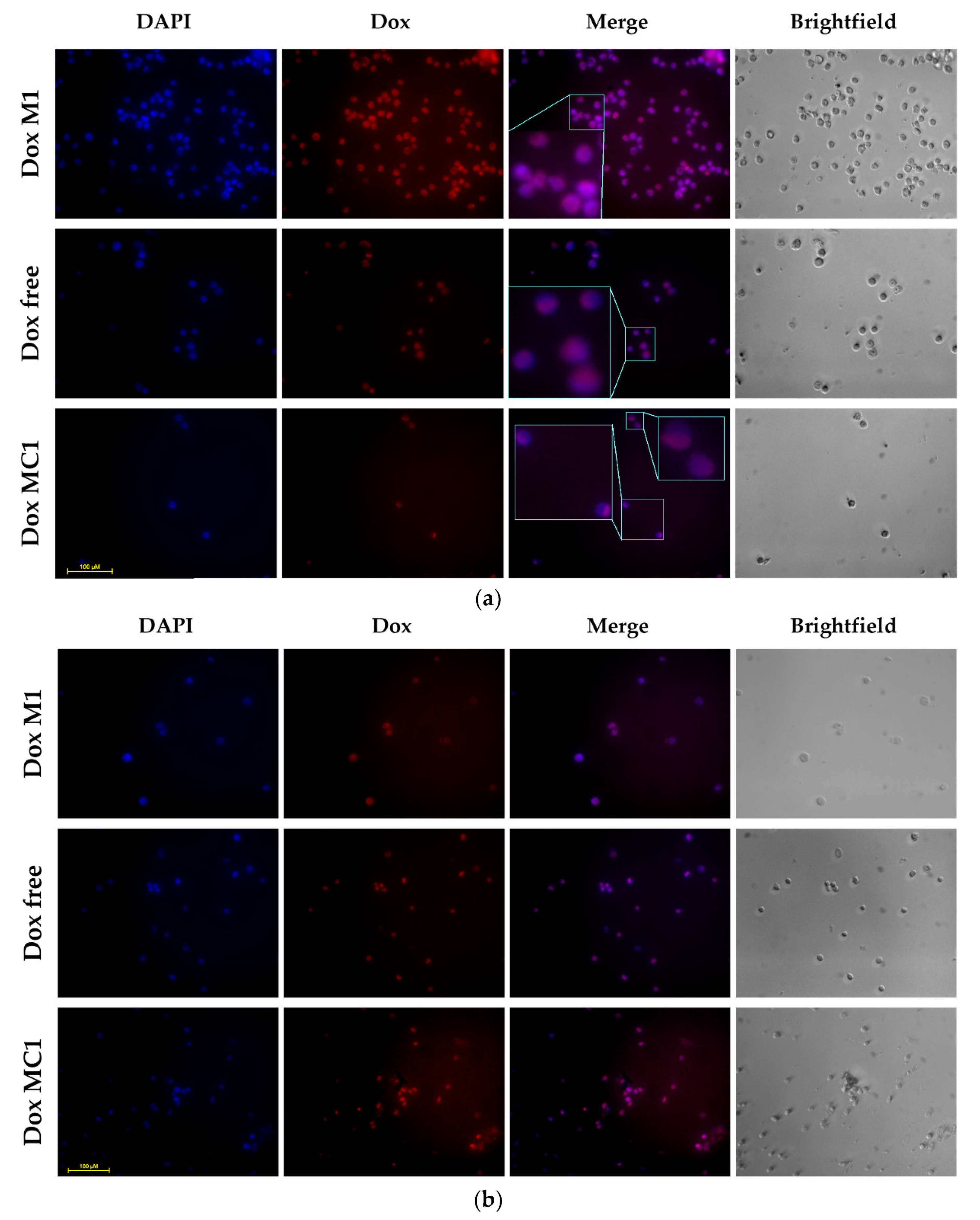 Preprints 97970 g006