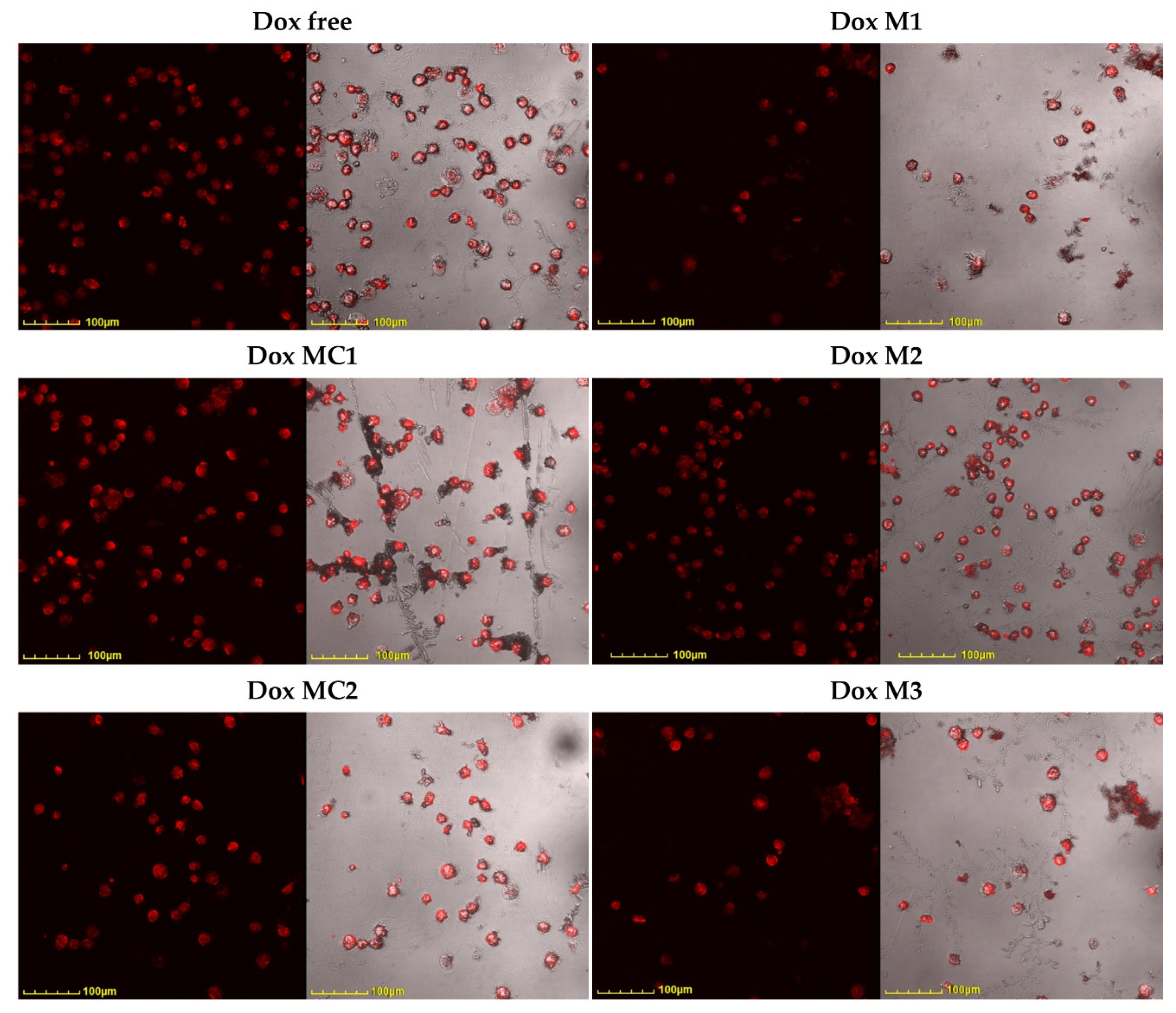 Preprints 97970 g007