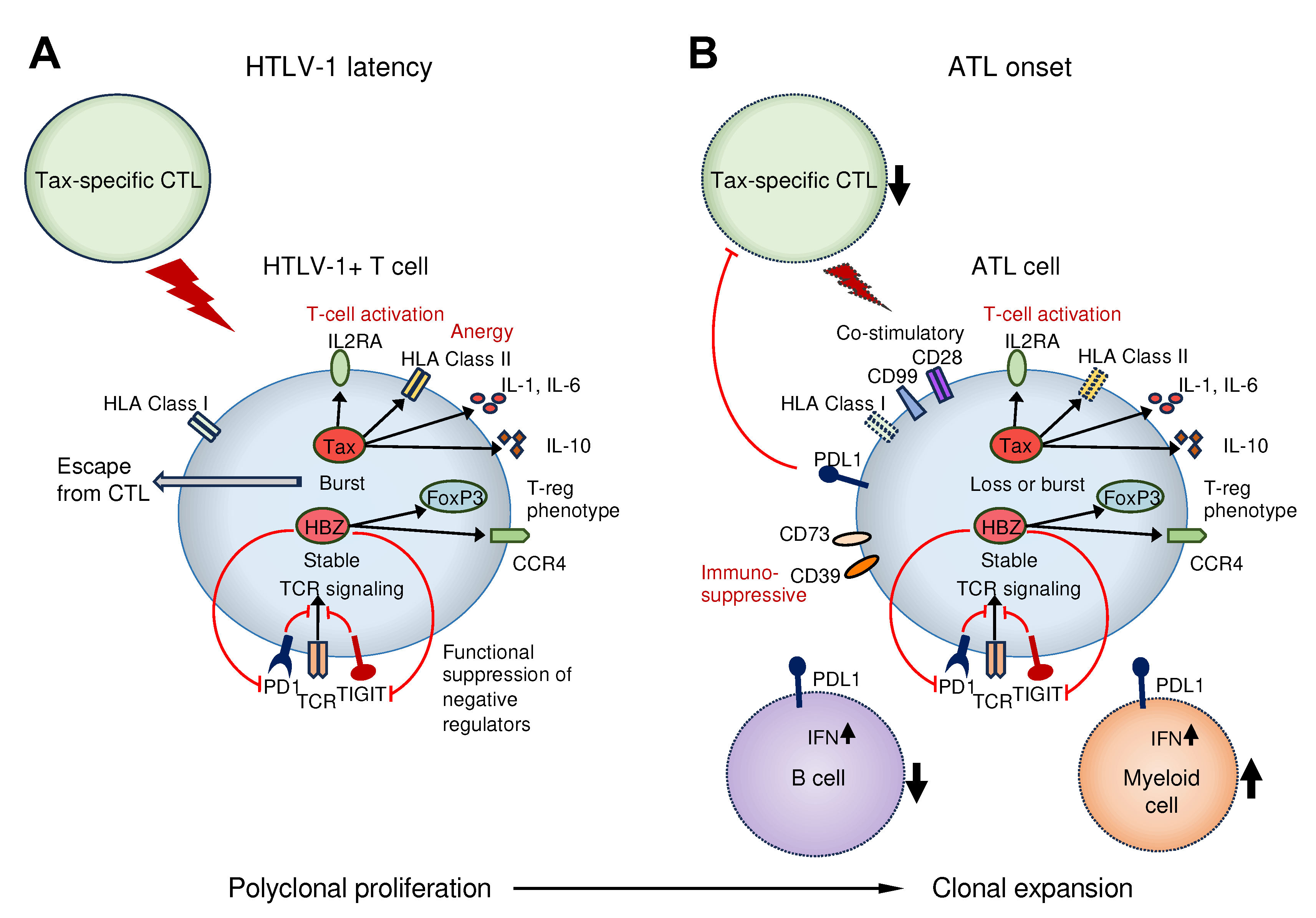 Preprints 84279 g001