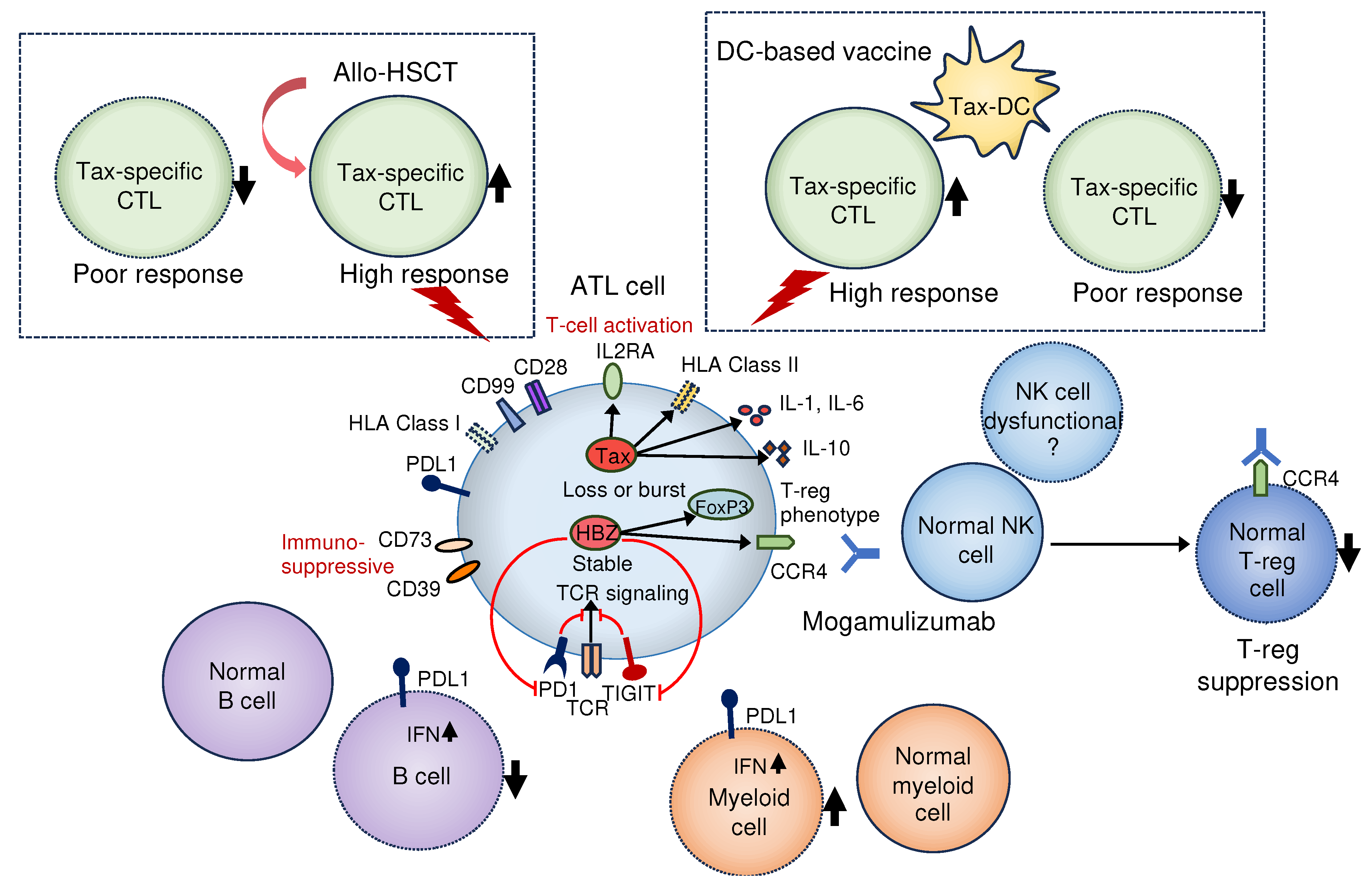 Preprints 84279 g002