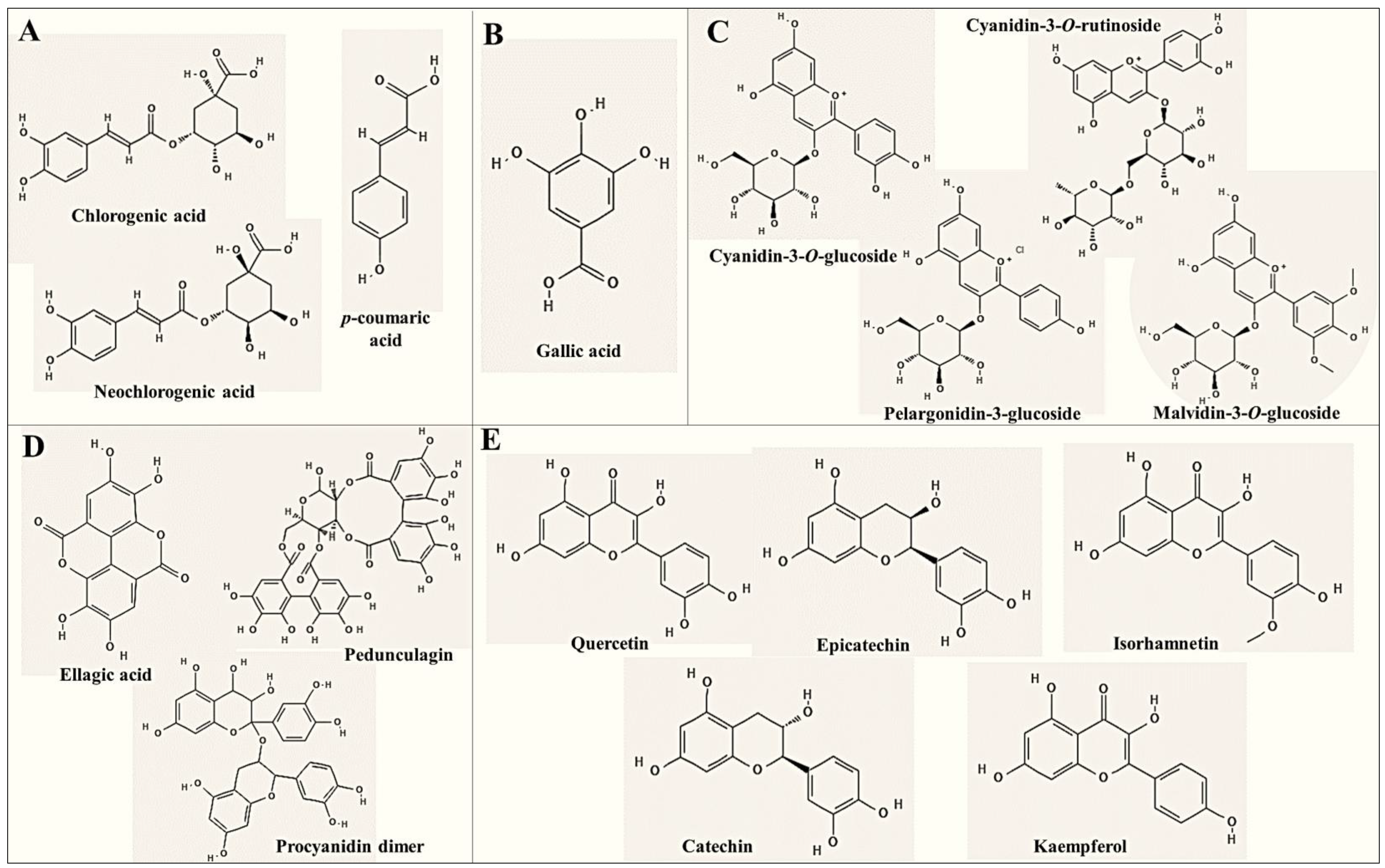 Preprints 104063 g002