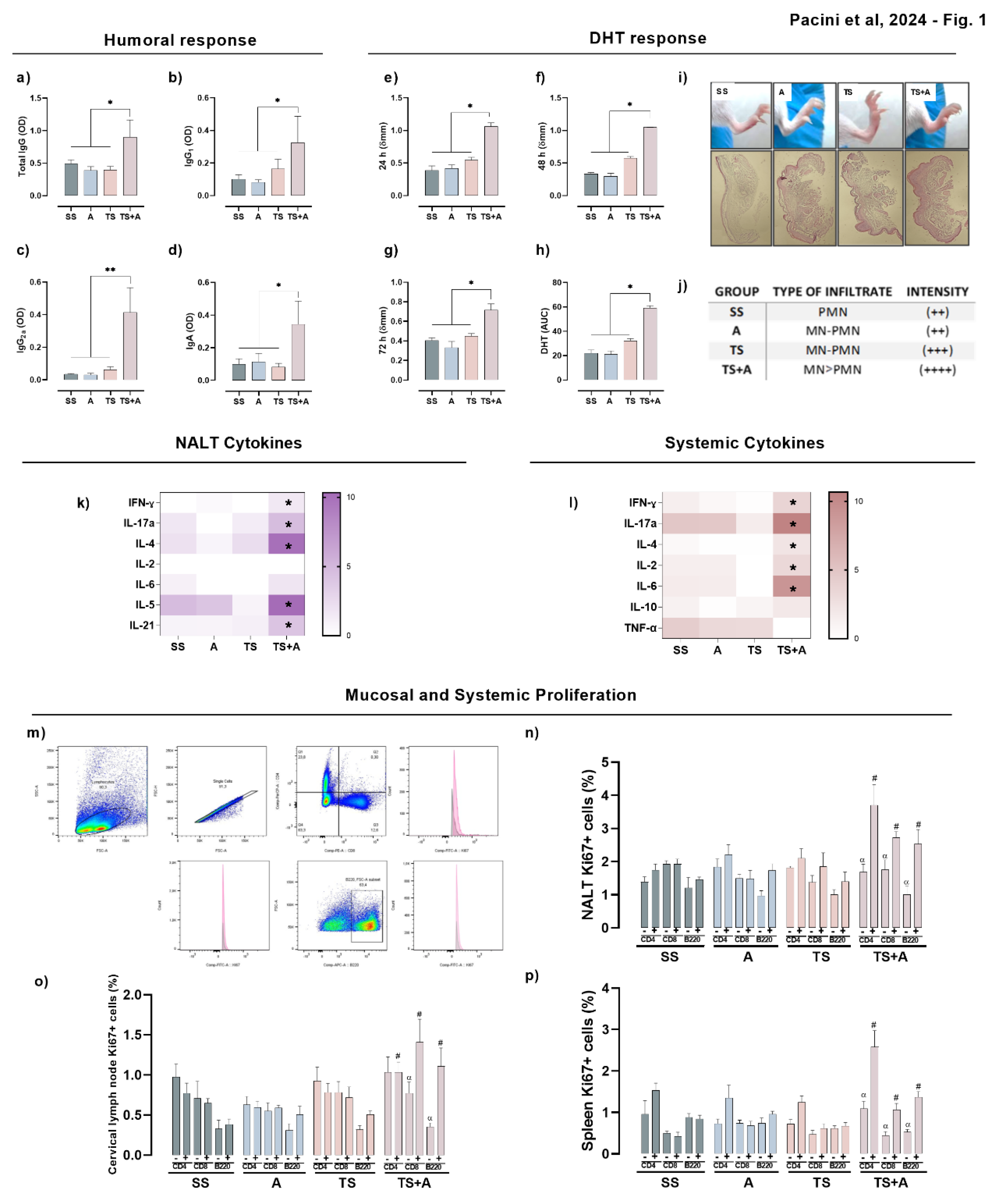 Preprints 118394 g001