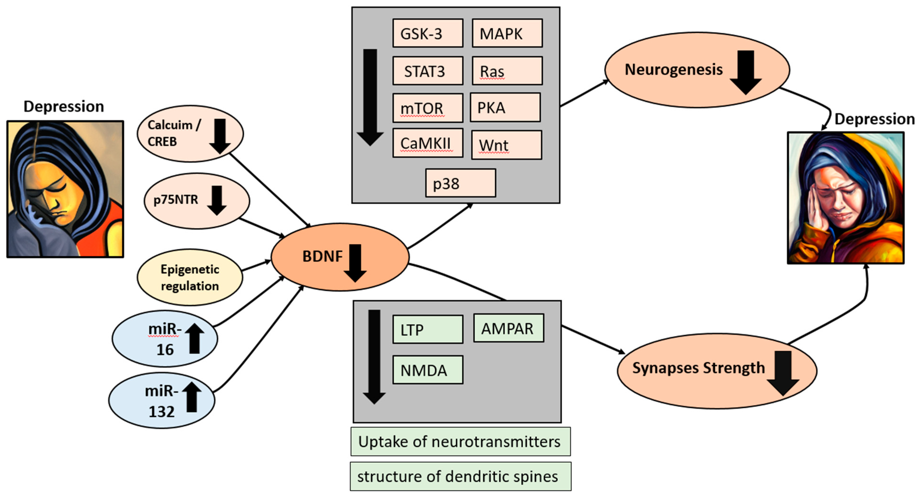 Preprints 86938 g001