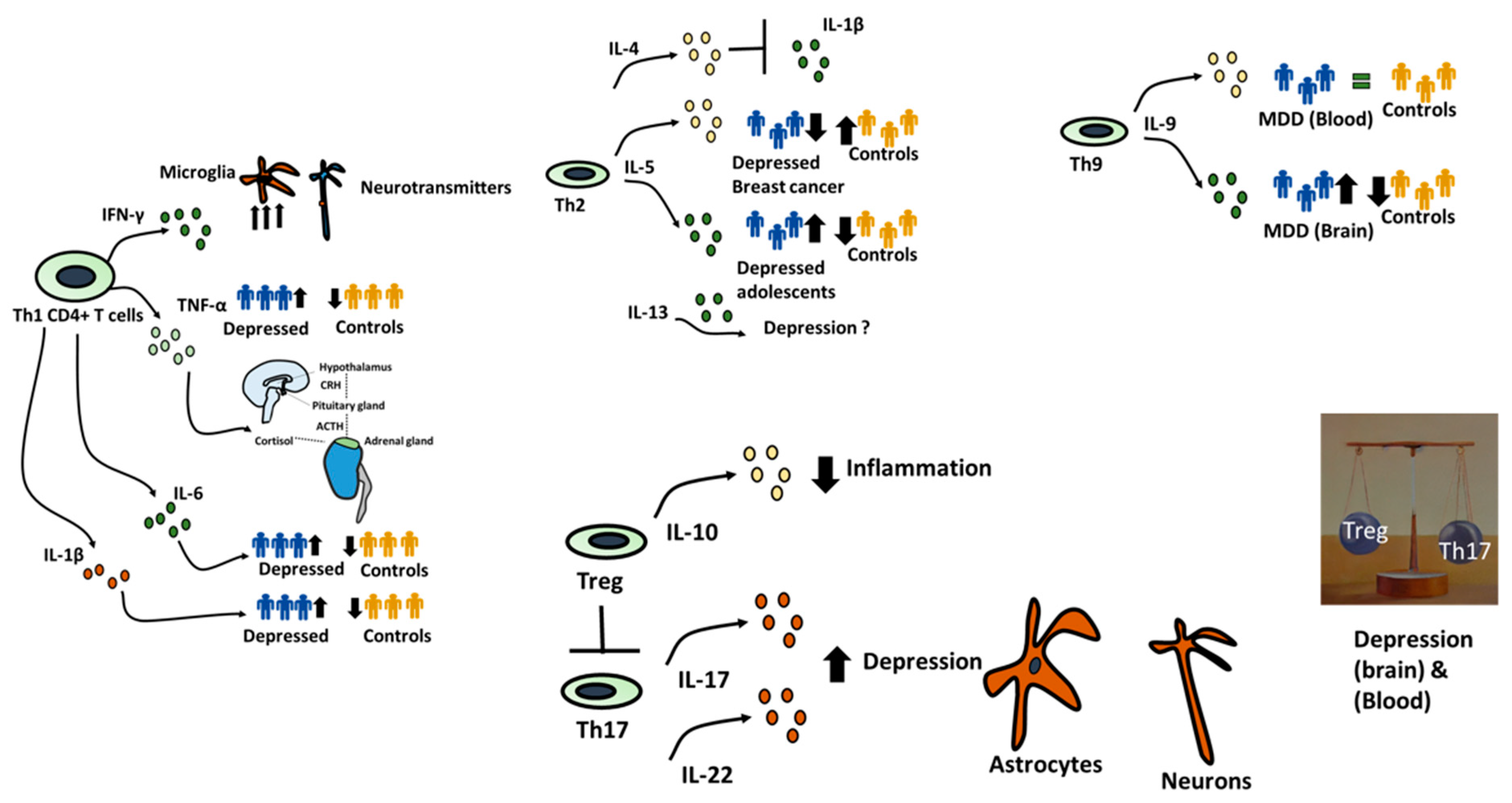 Preprints 86938 g002