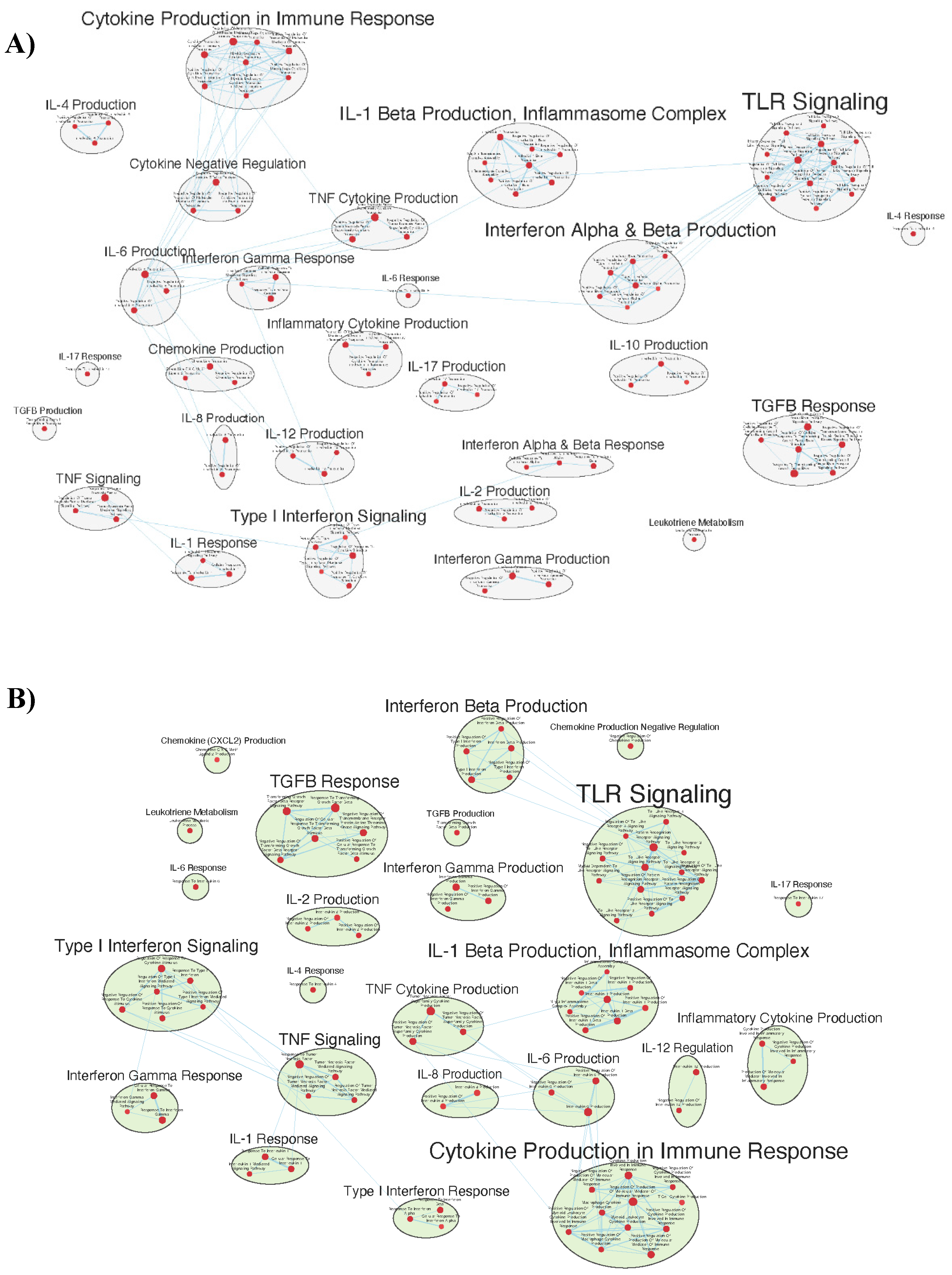 Preprints 106096 g006