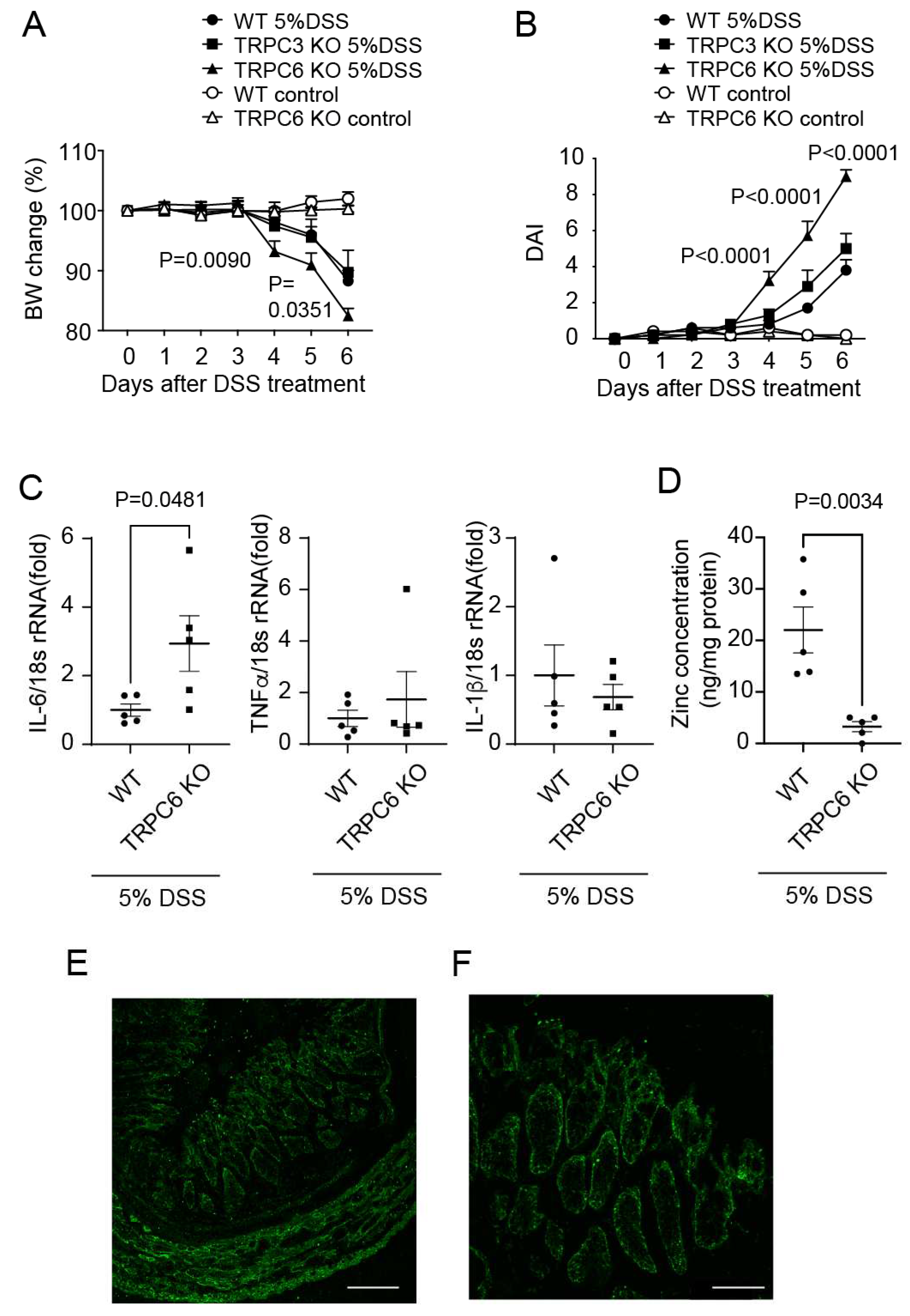 Preprints 97912 g002