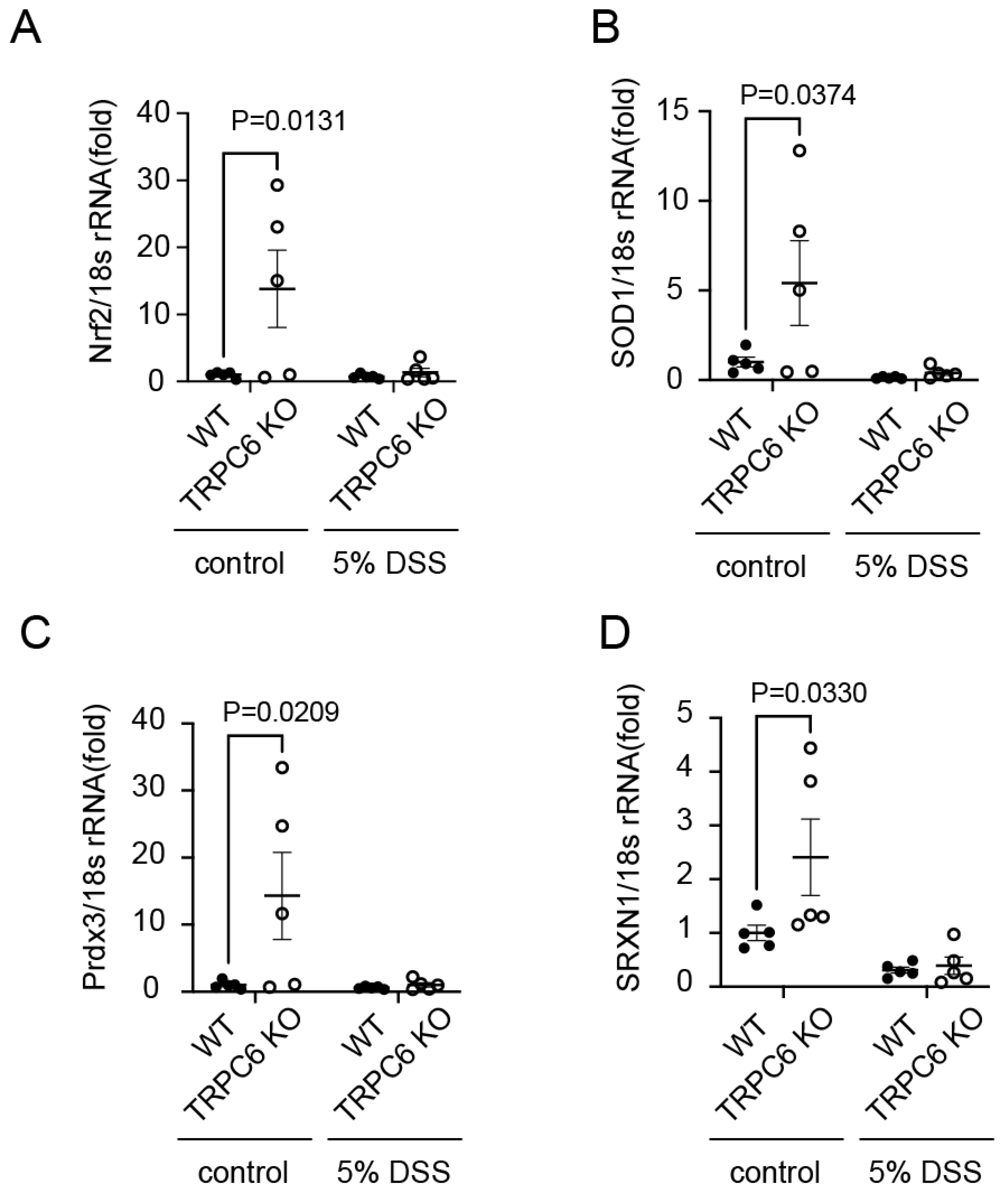 Preprints 97912 g003