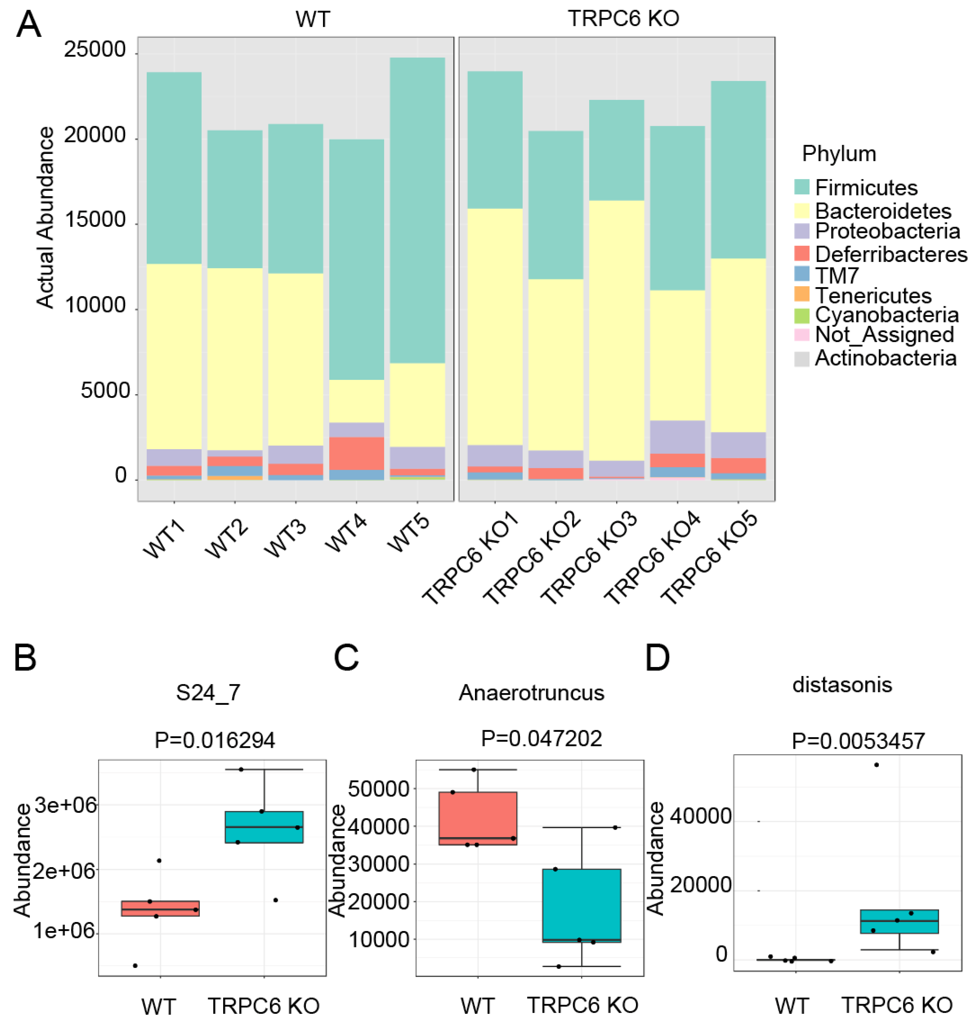 Preprints 97912 g004