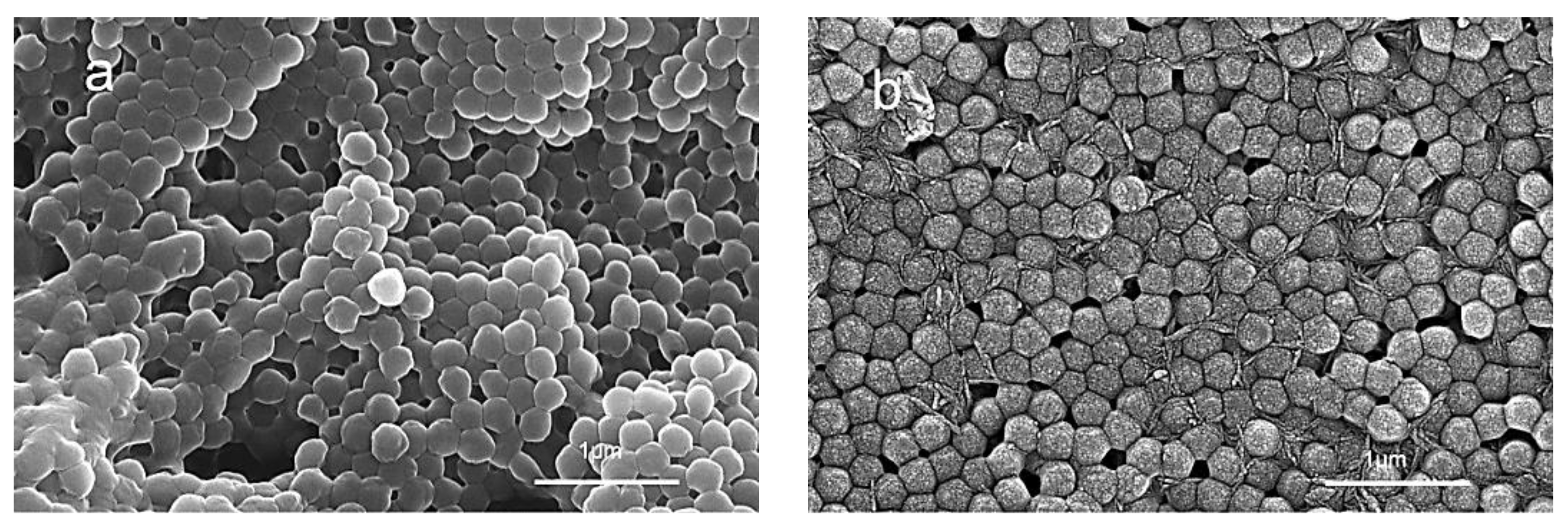 Preprints 82114 g002