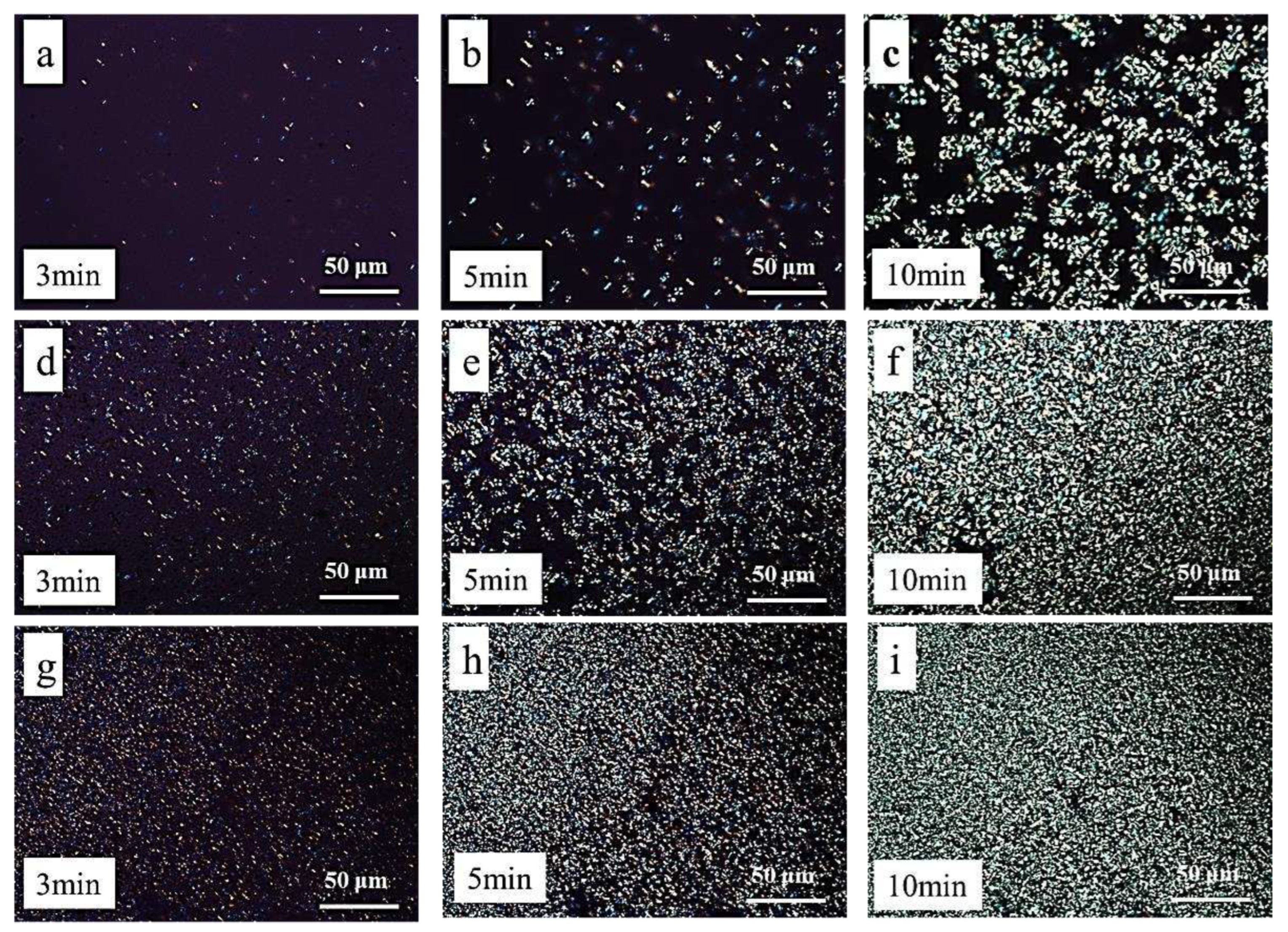 Preprints 82114 g011