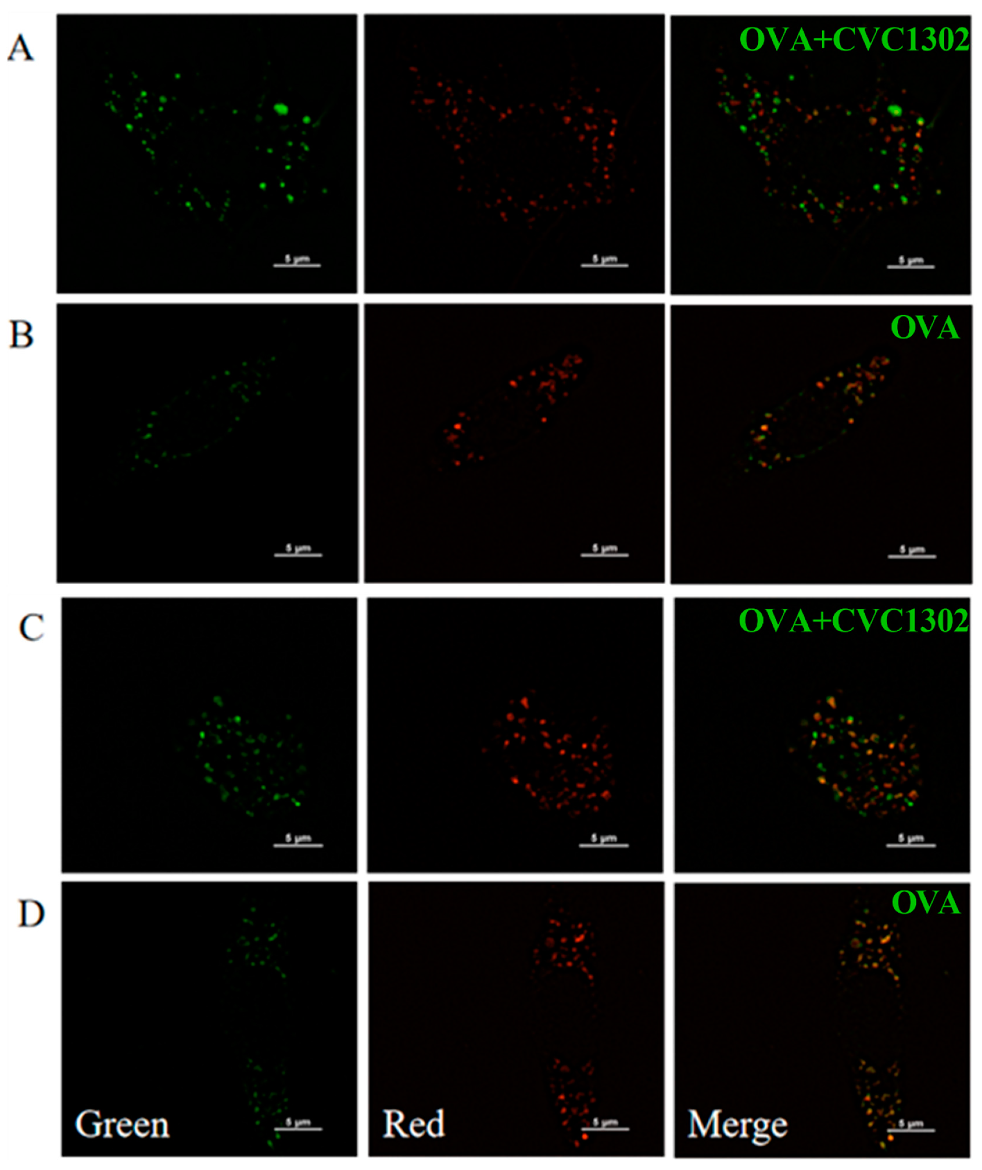 Preprints 85102 g003