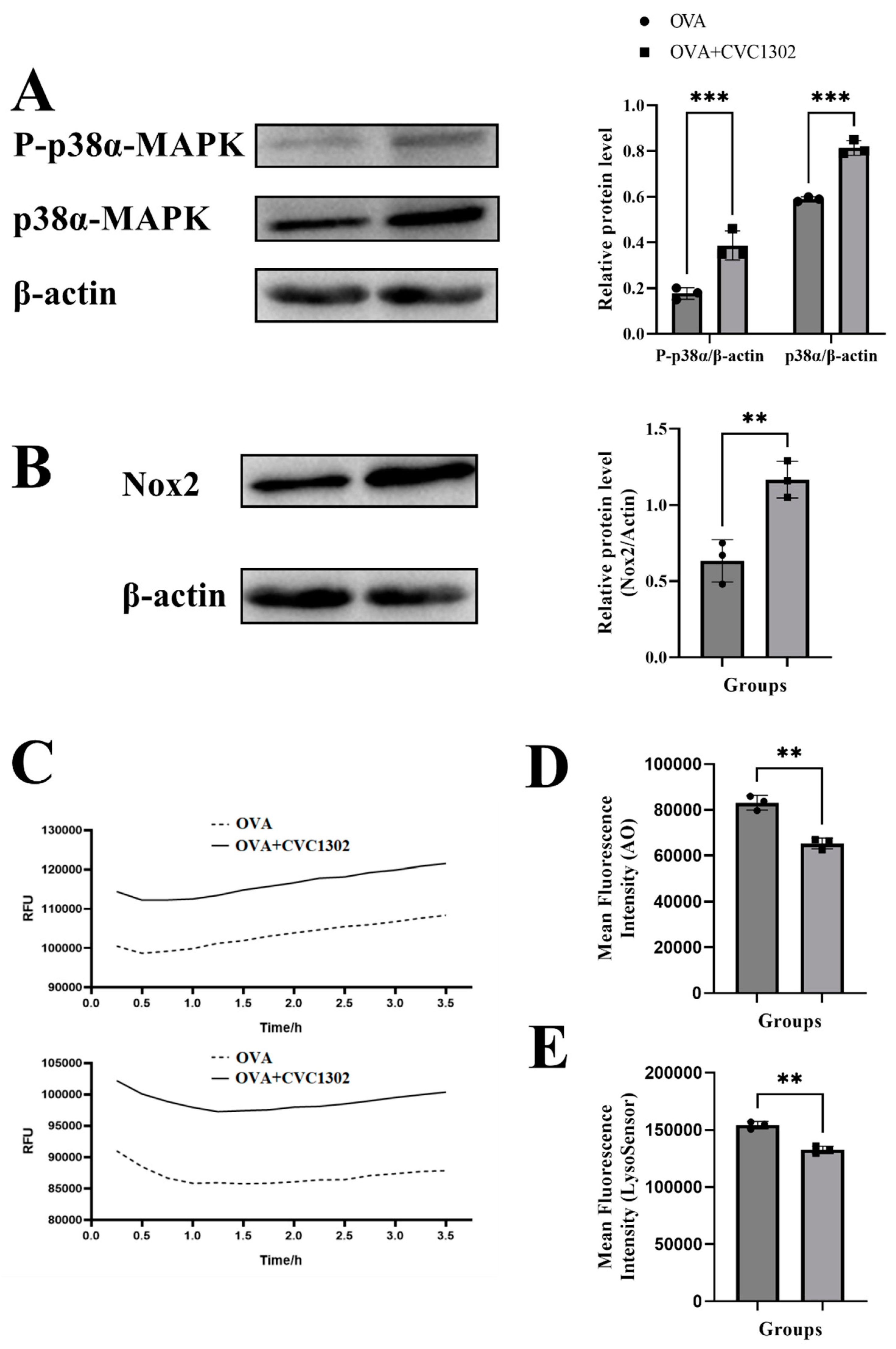 Preprints 85102 g004