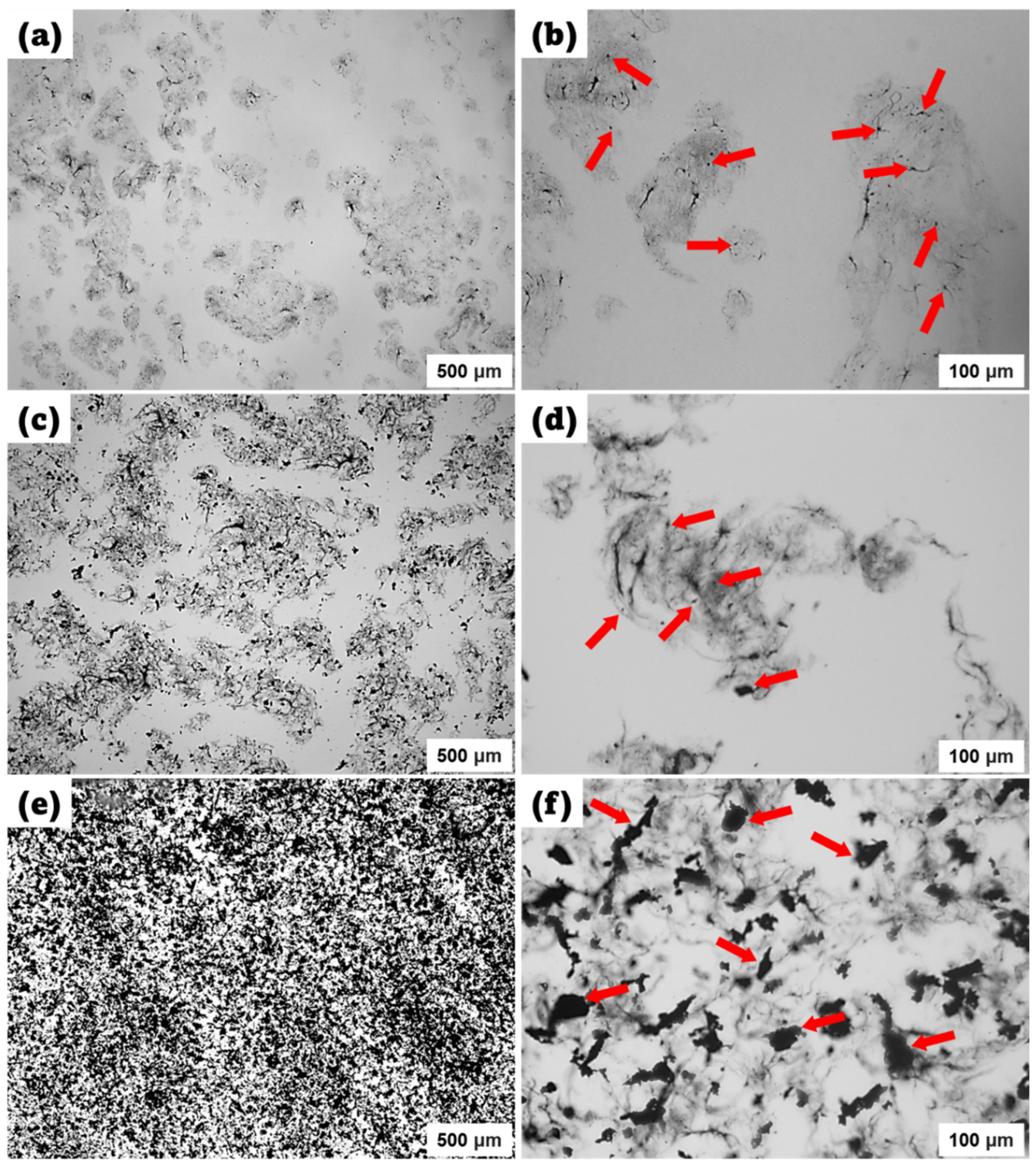 Preprints 115515 g002