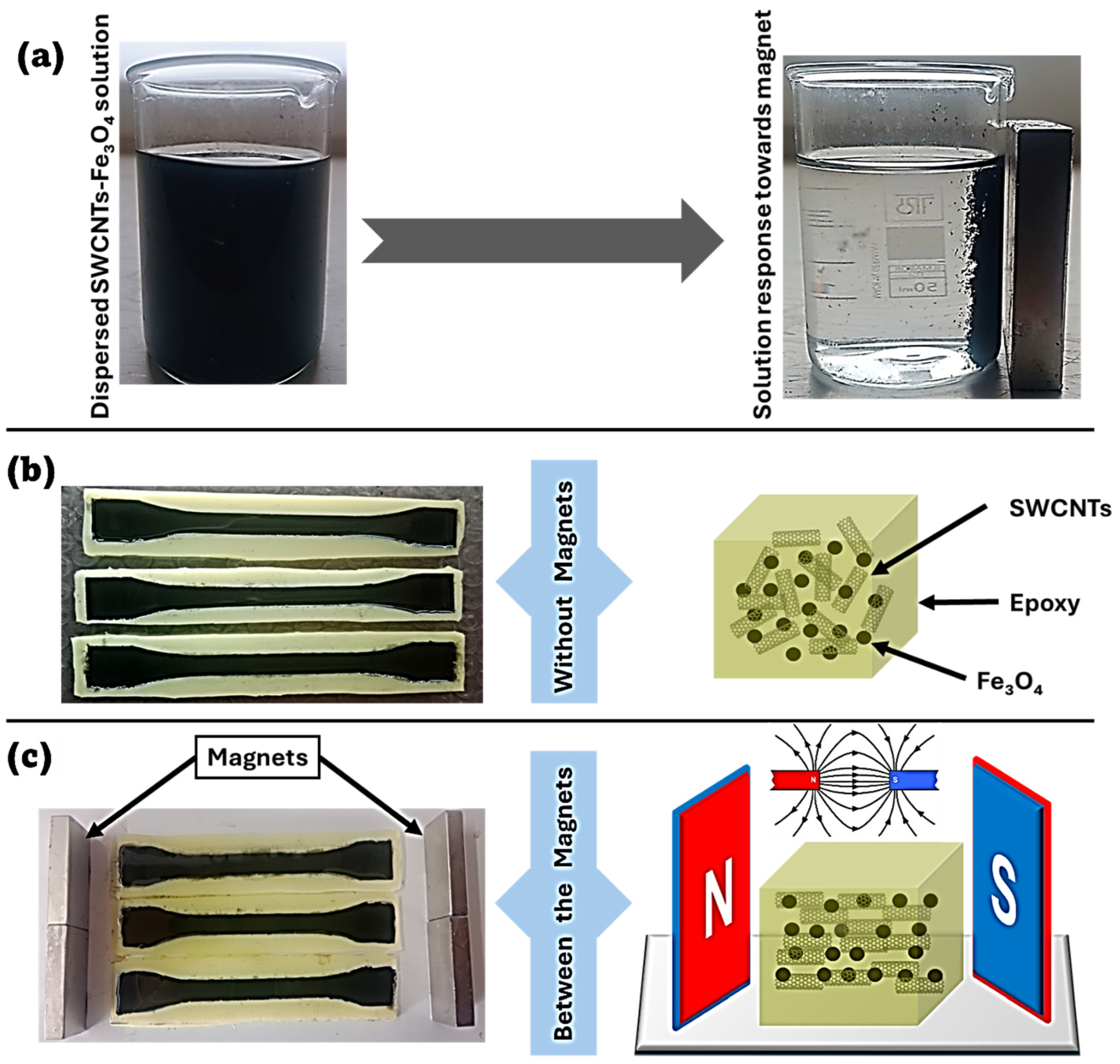 Preprints 115515 g003