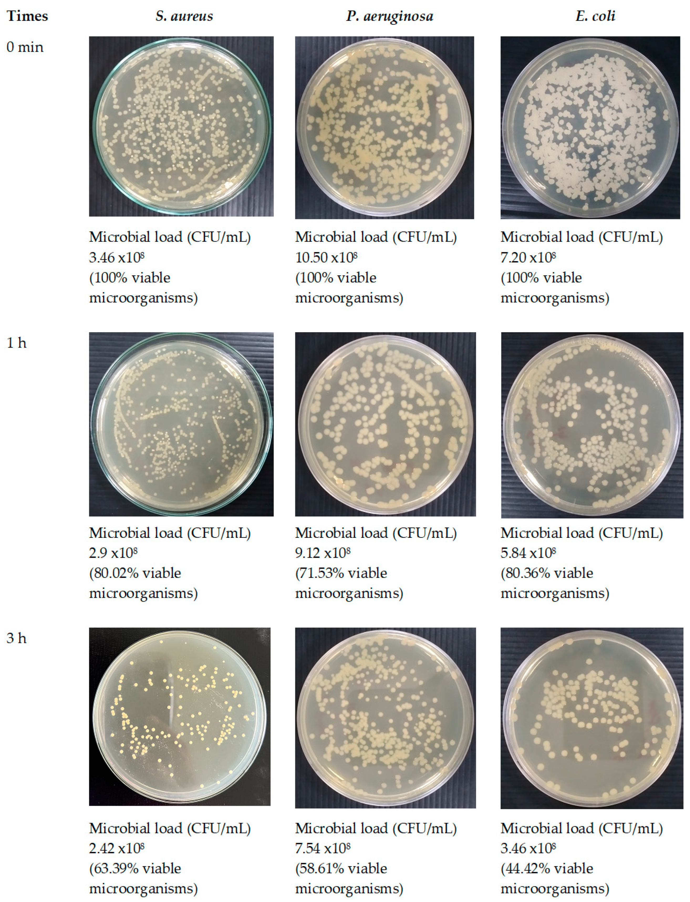 Preprints 94106 g016a