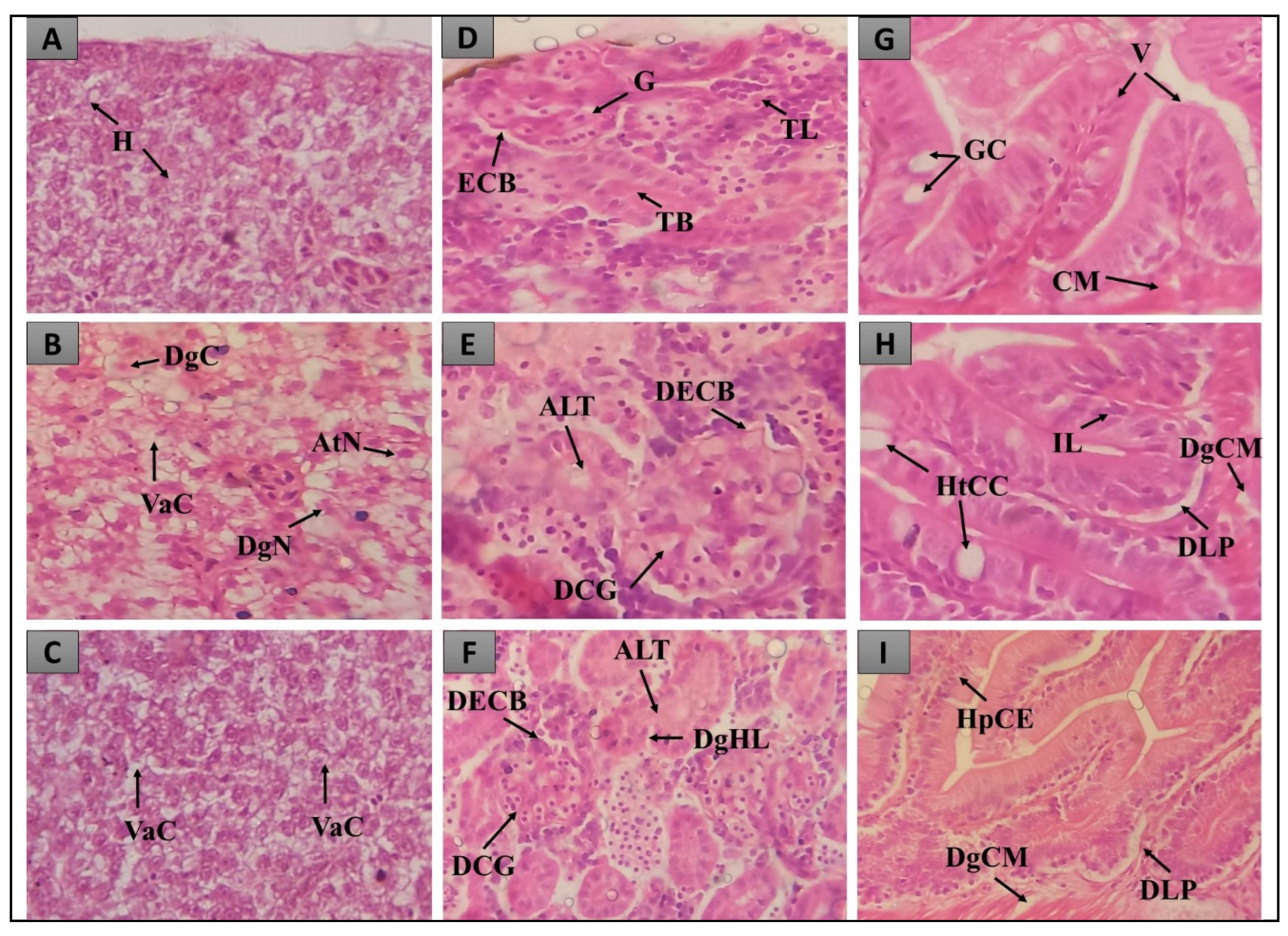 Preprints 88422 g003