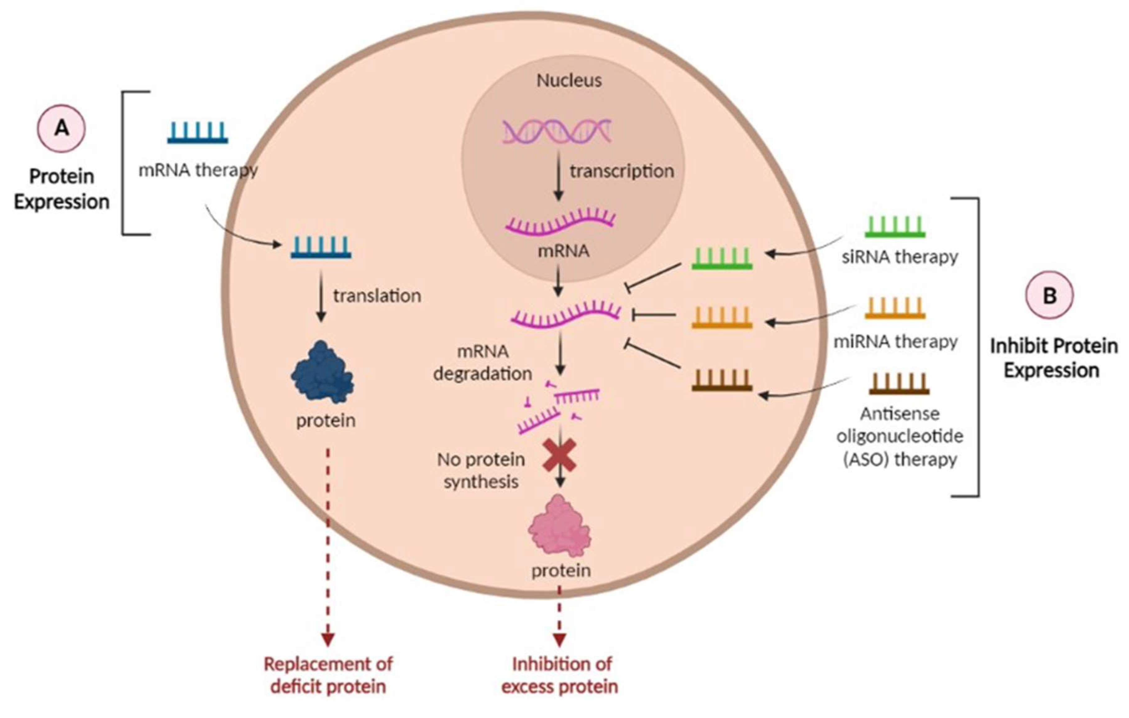 Preprints 76858 g004