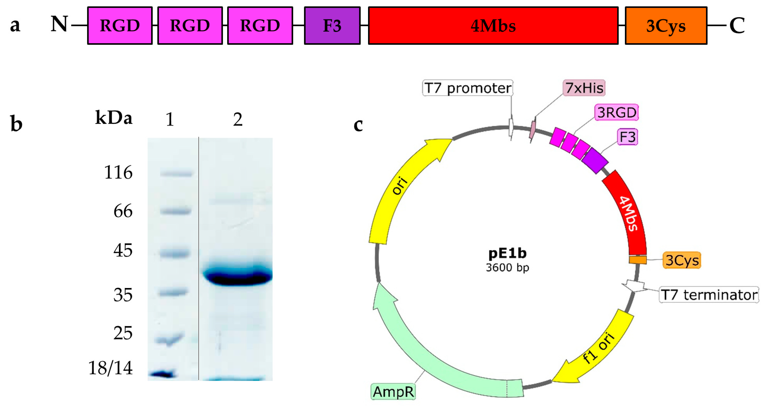 Preprints 114735 g001