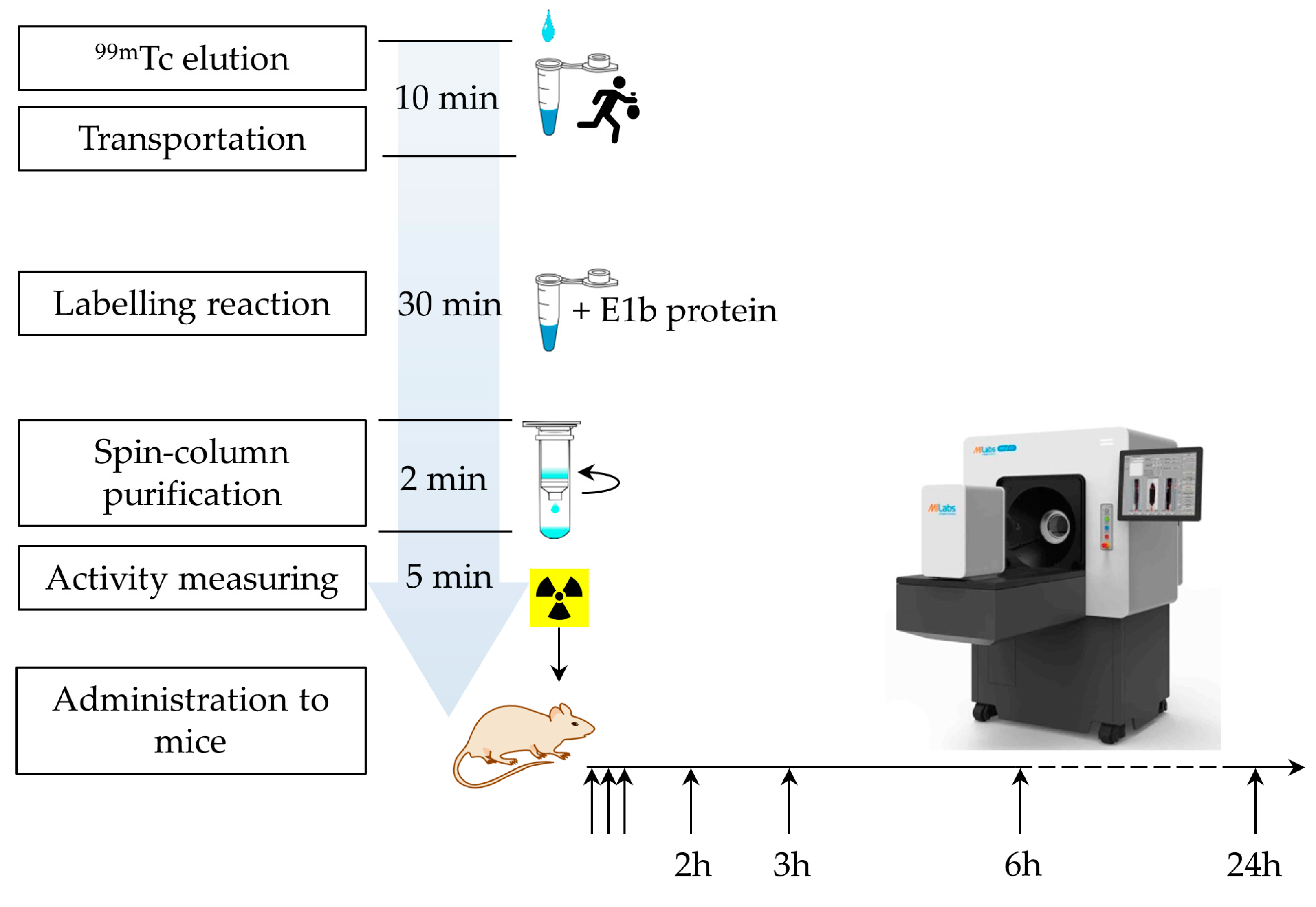 Preprints 114735 g002