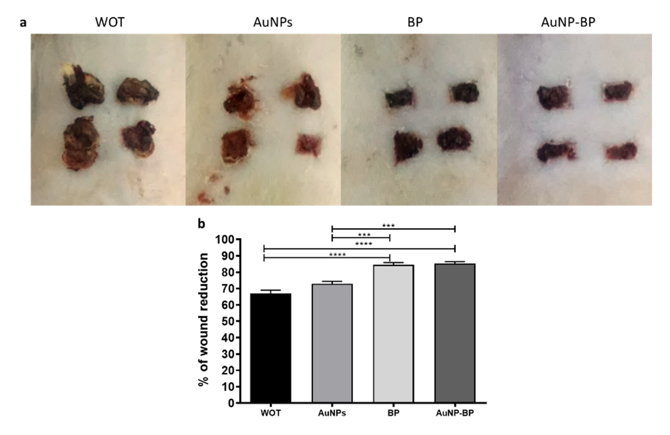 Preprints 88436 g004