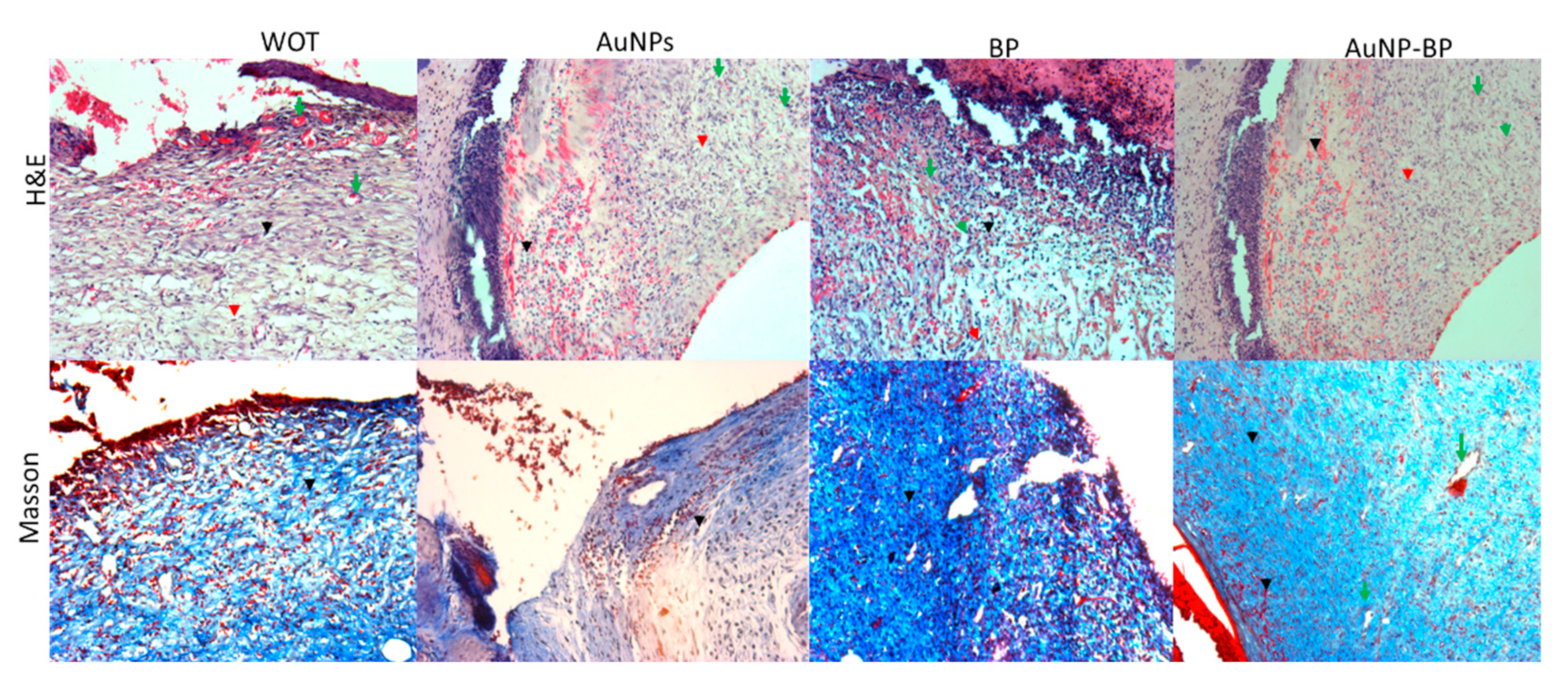 Preprints 88436 g005