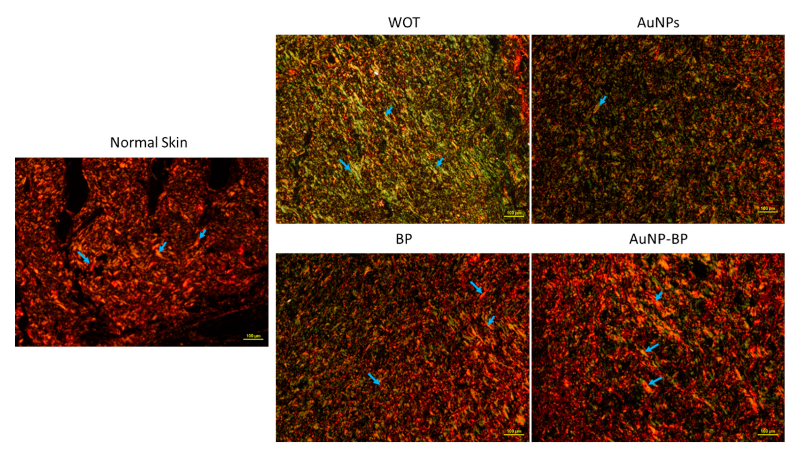 Preprints 88436 g006