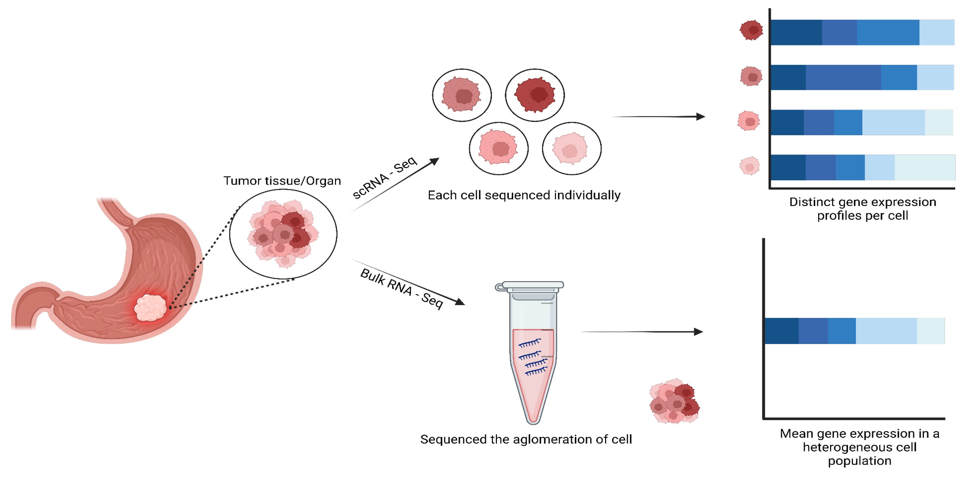 Preprints 138063 g001