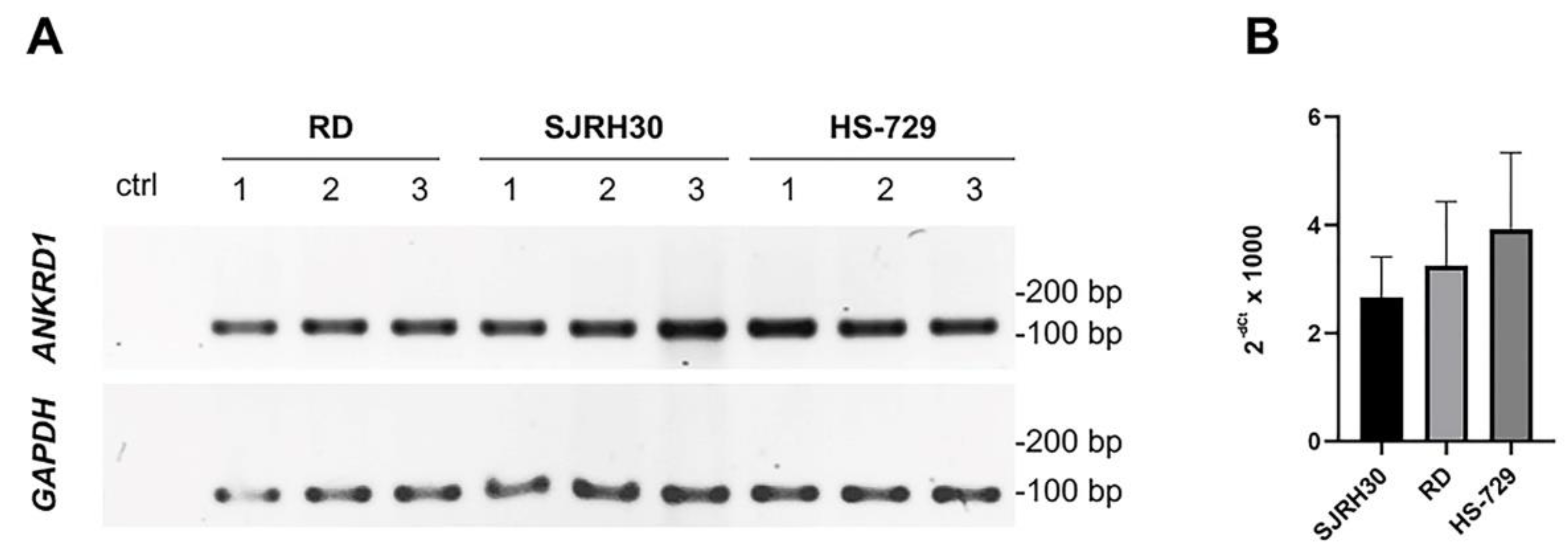 Preprints 84624 g001