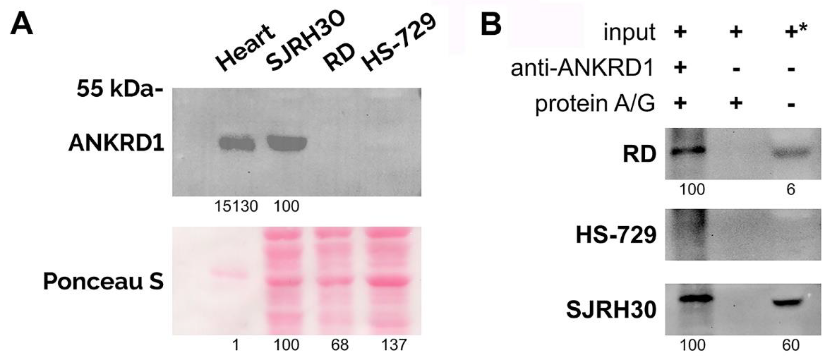 Preprints 84624 g002