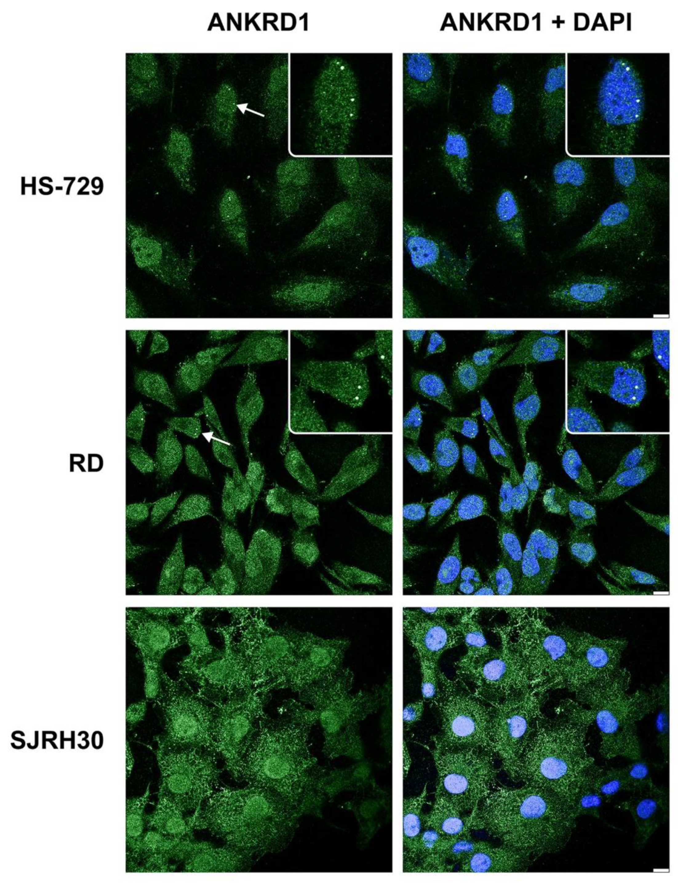 Preprints 84624 g003