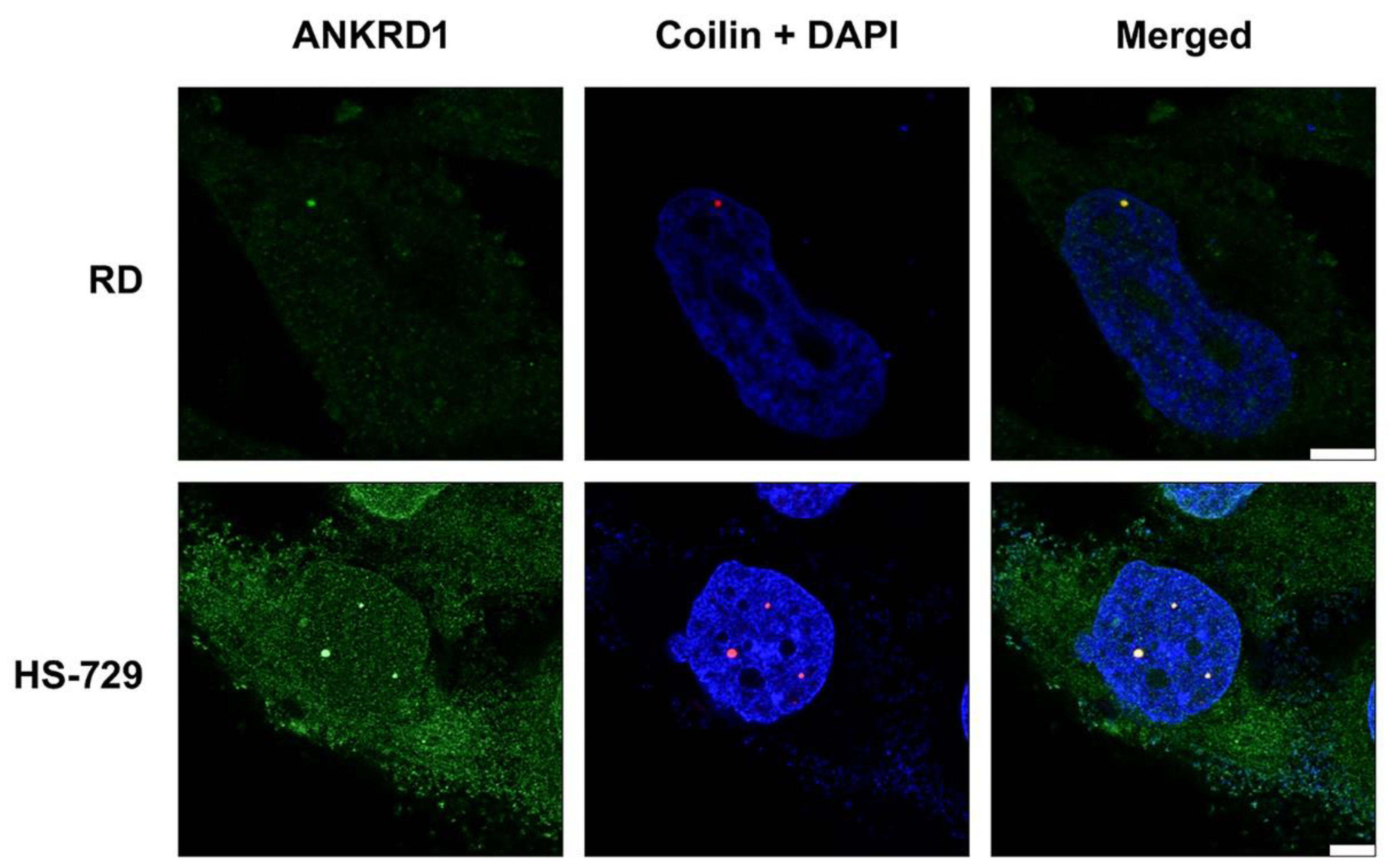 Preprints 84624 g004