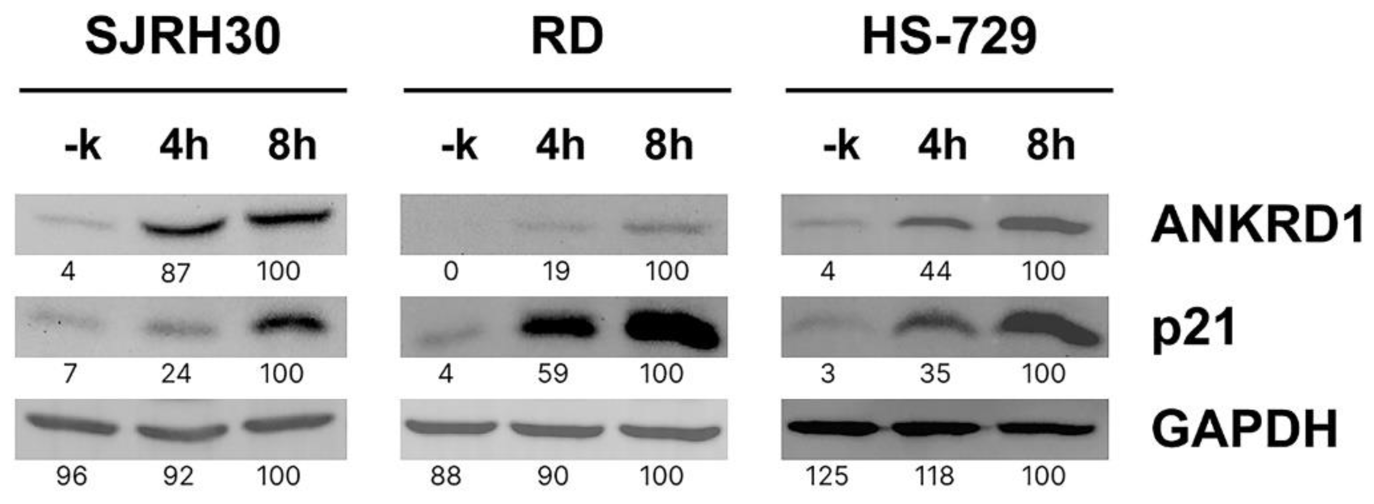 Preprints 84624 g005