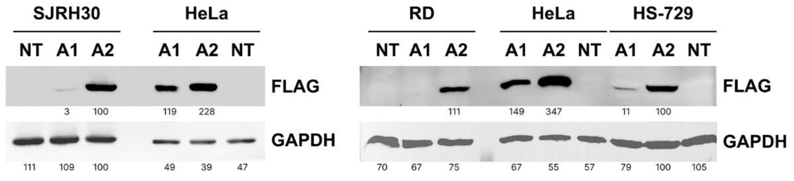 Preprints 84624 g006