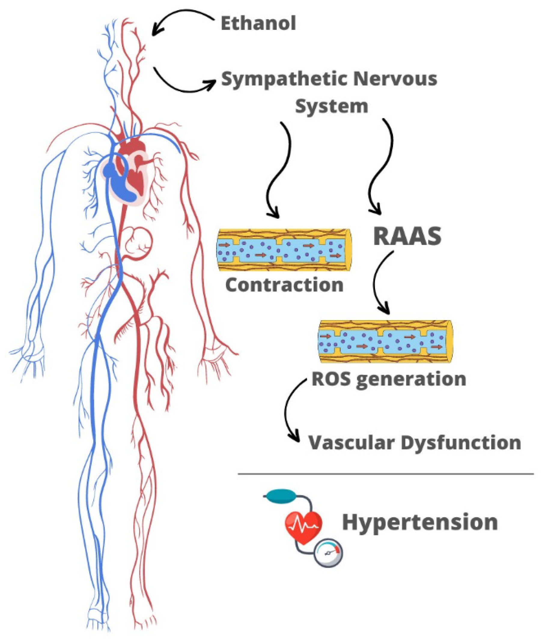 Preprints 84387 g001