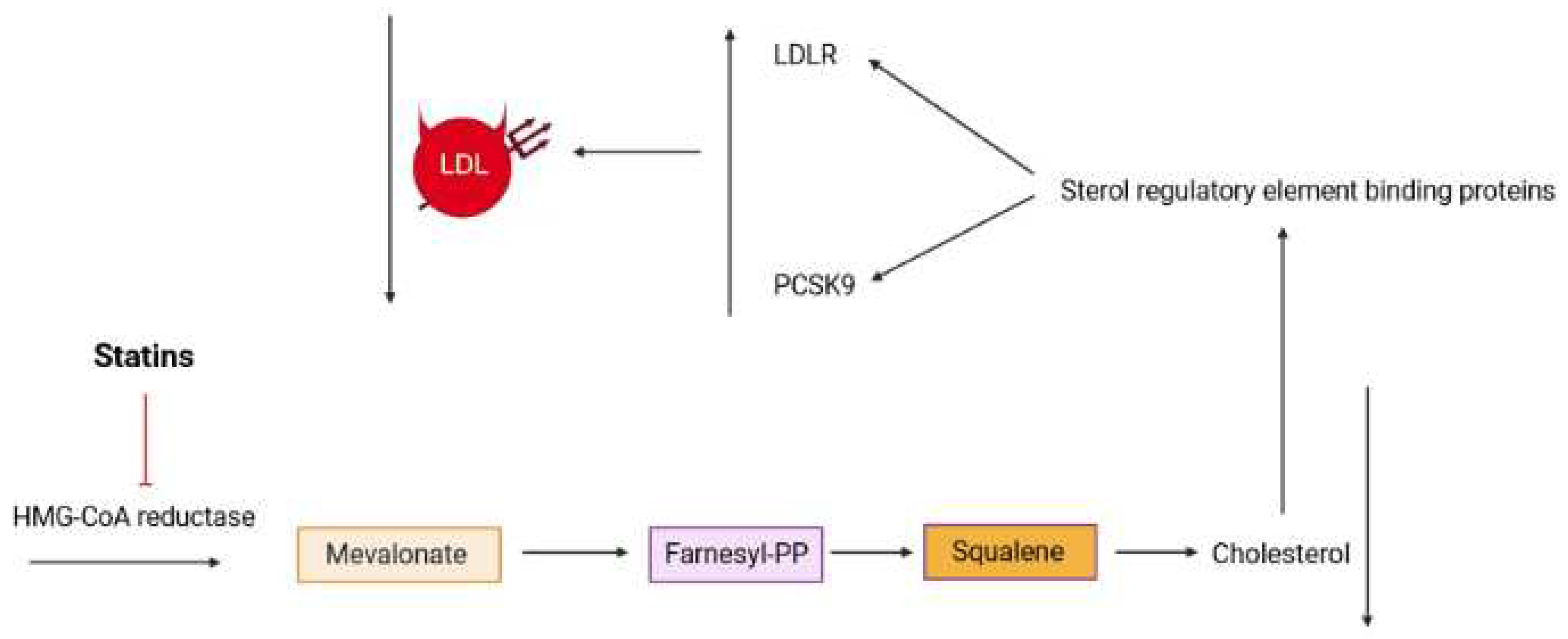 Preprints 79021 g004