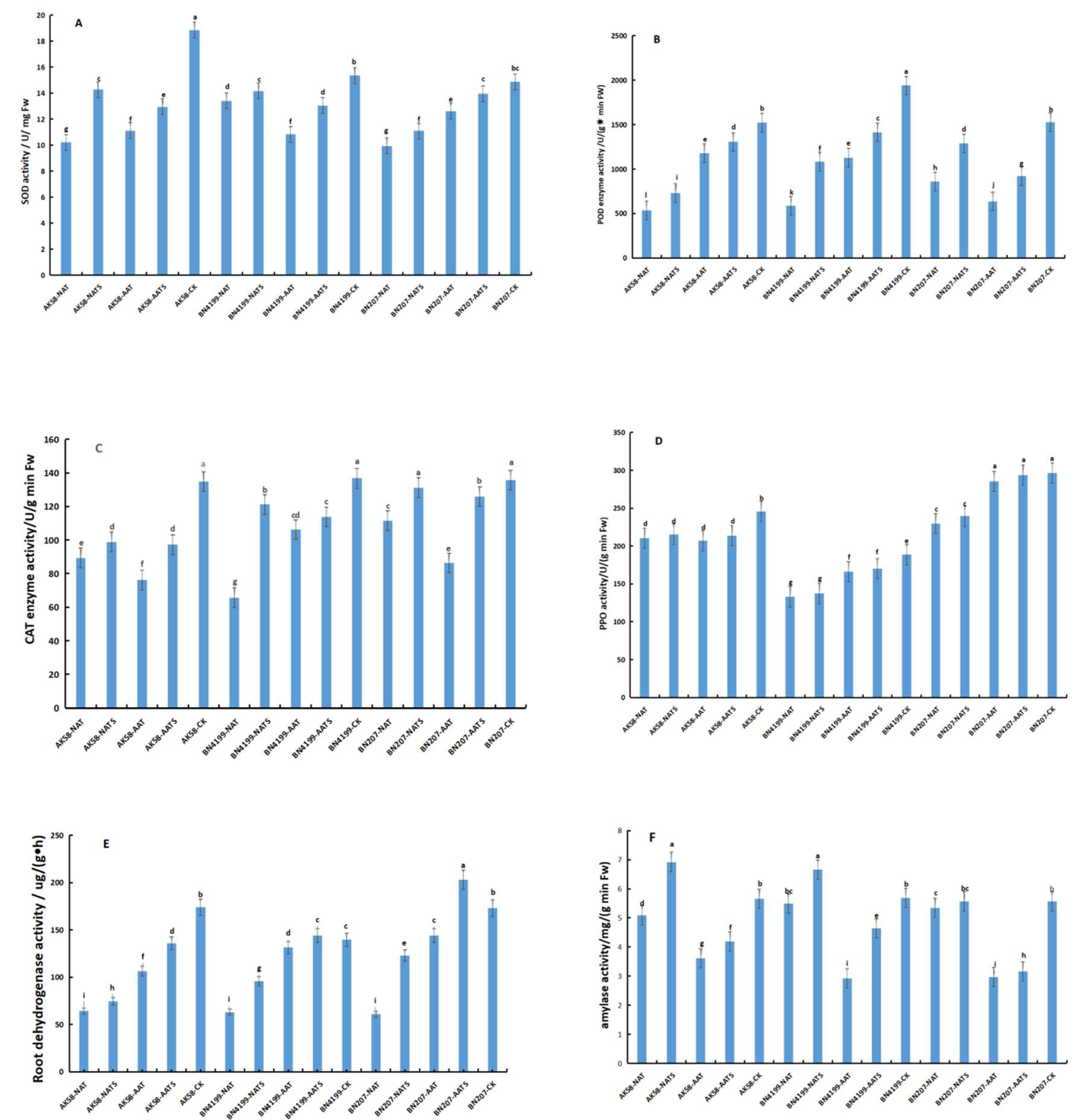 Preprints 82424 g002a