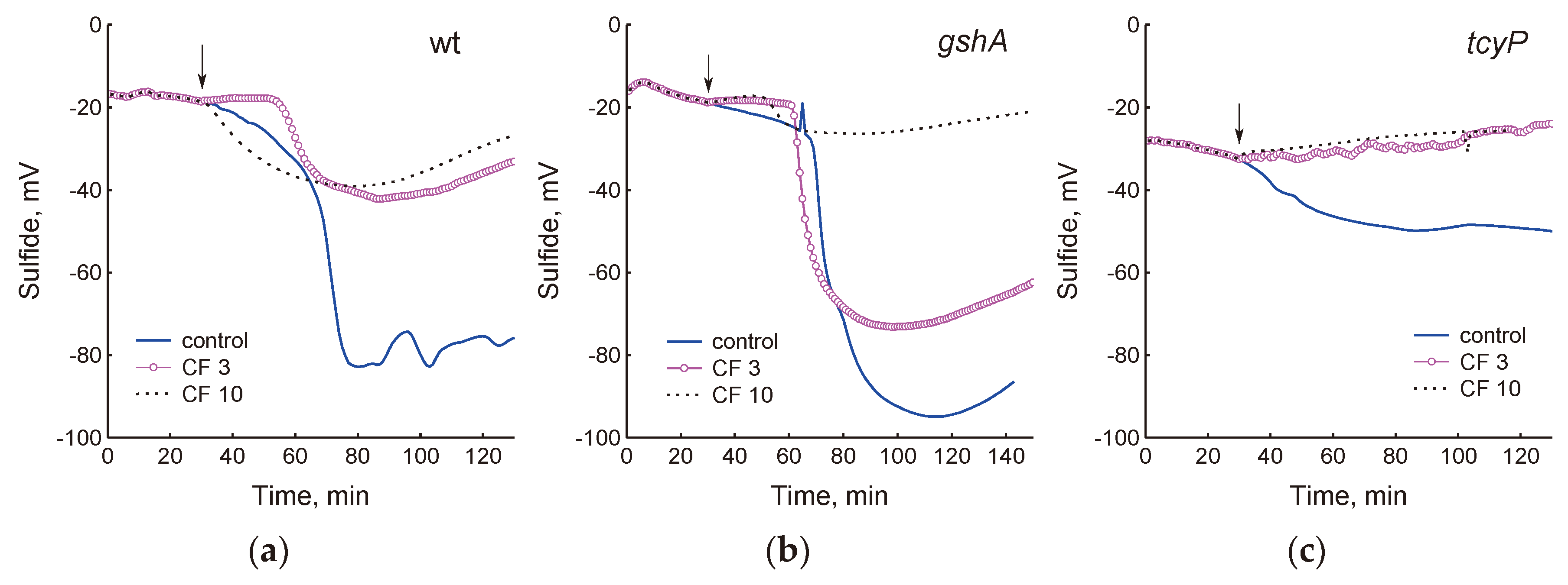 Preprints 102606 g002a