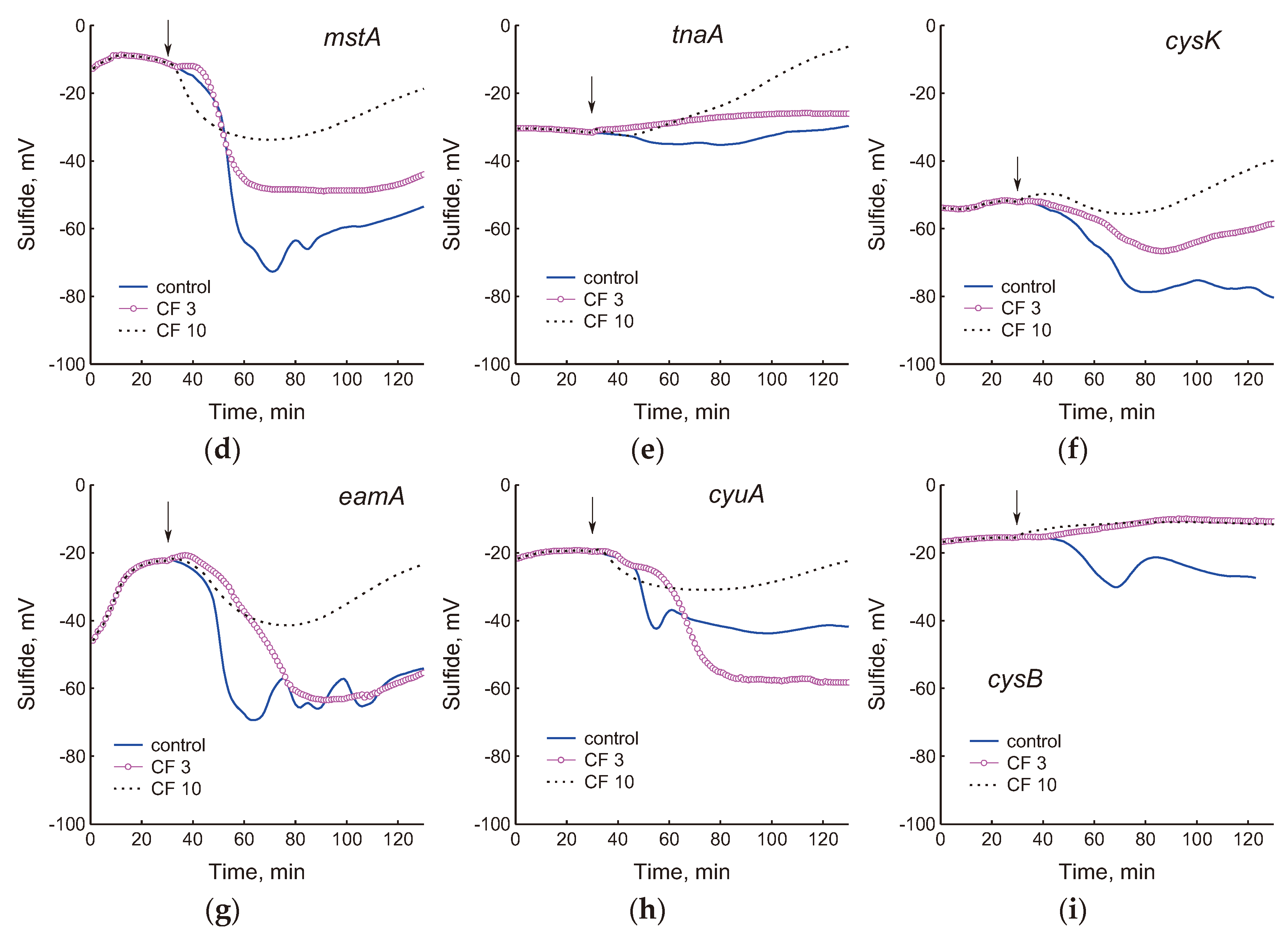 Preprints 102606 g002b