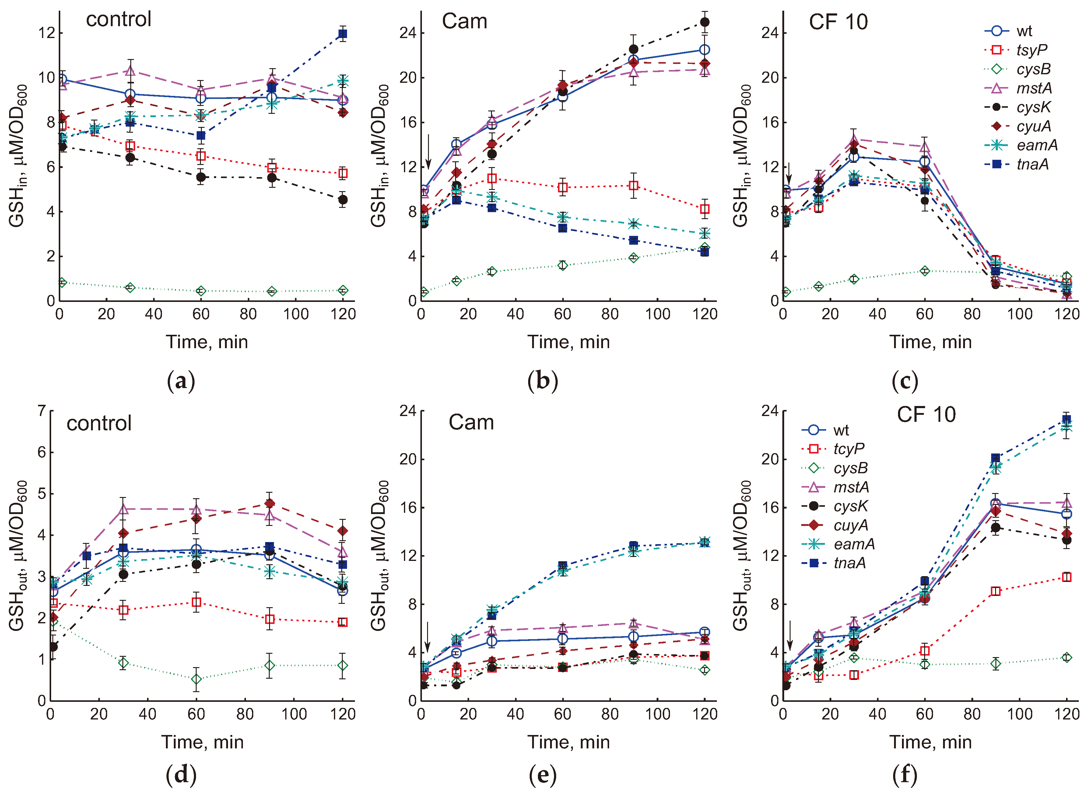 Preprints 102606 g003