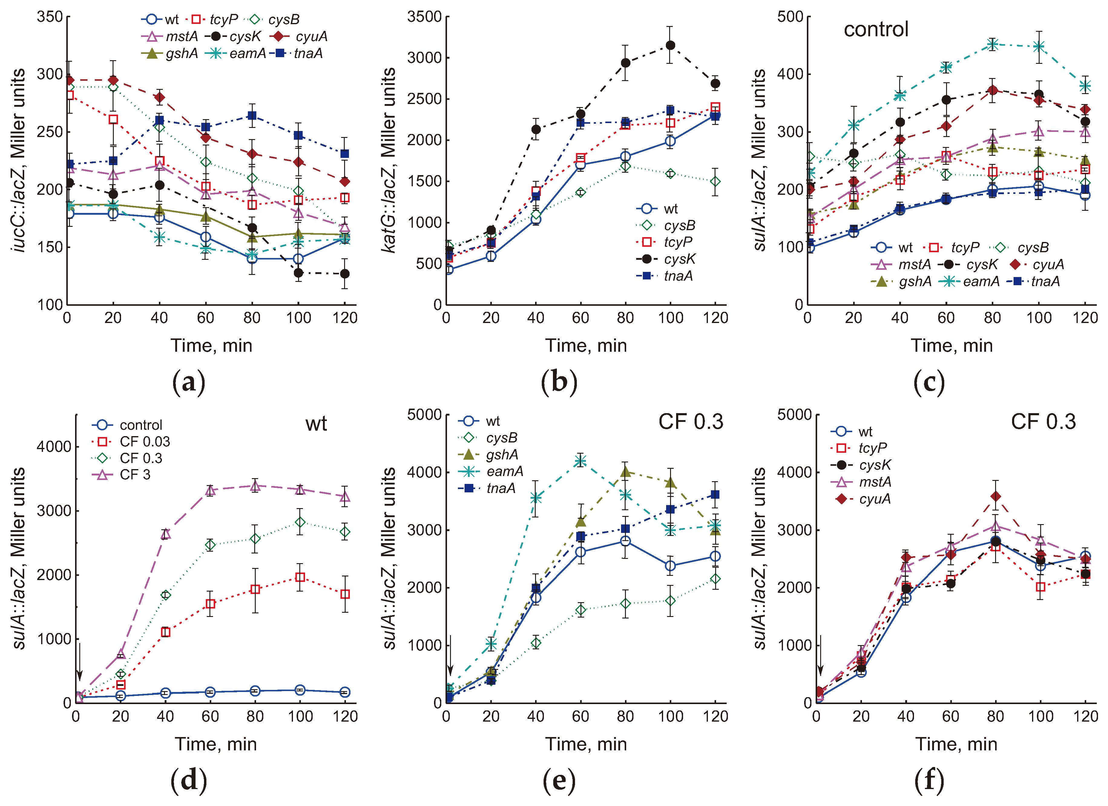 Preprints 102606 g005