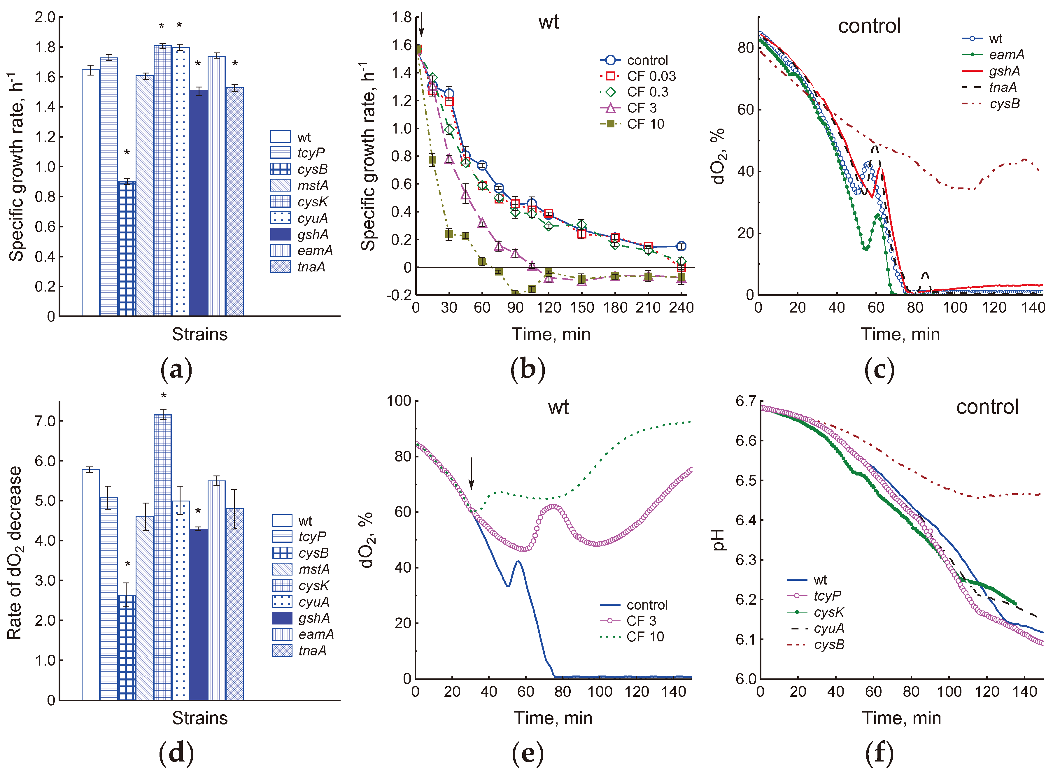 Preprints 102606 g006