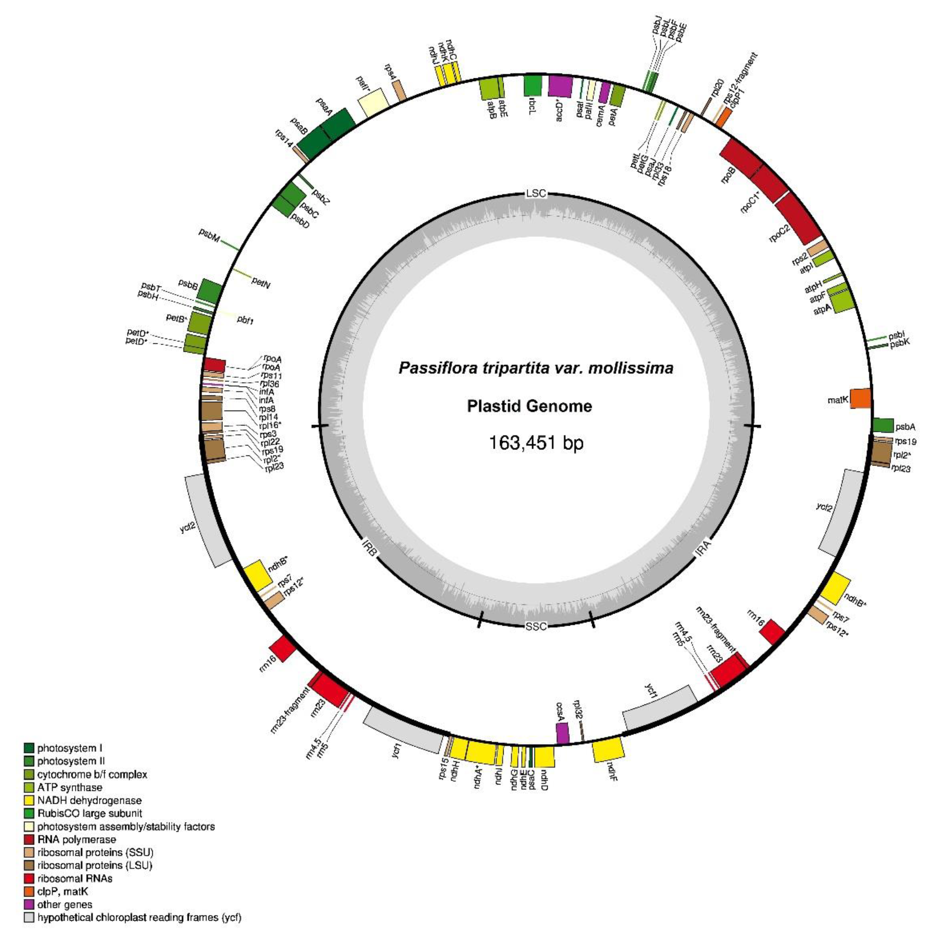 Preprints 75925 g001