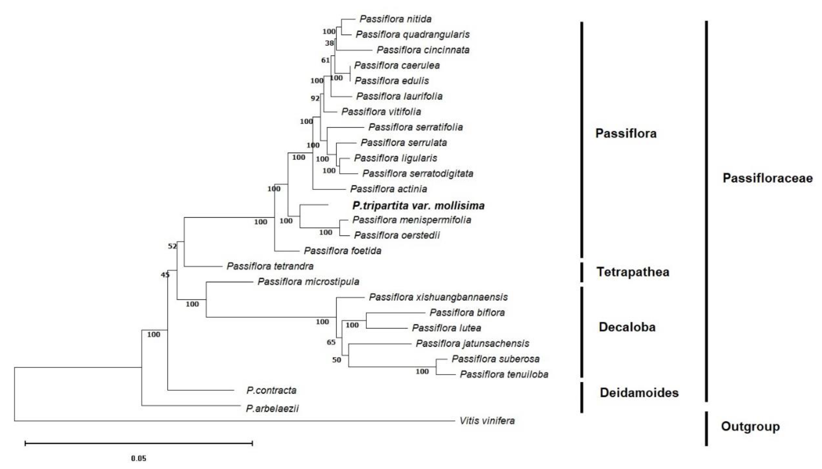 Preprints 75925 g002