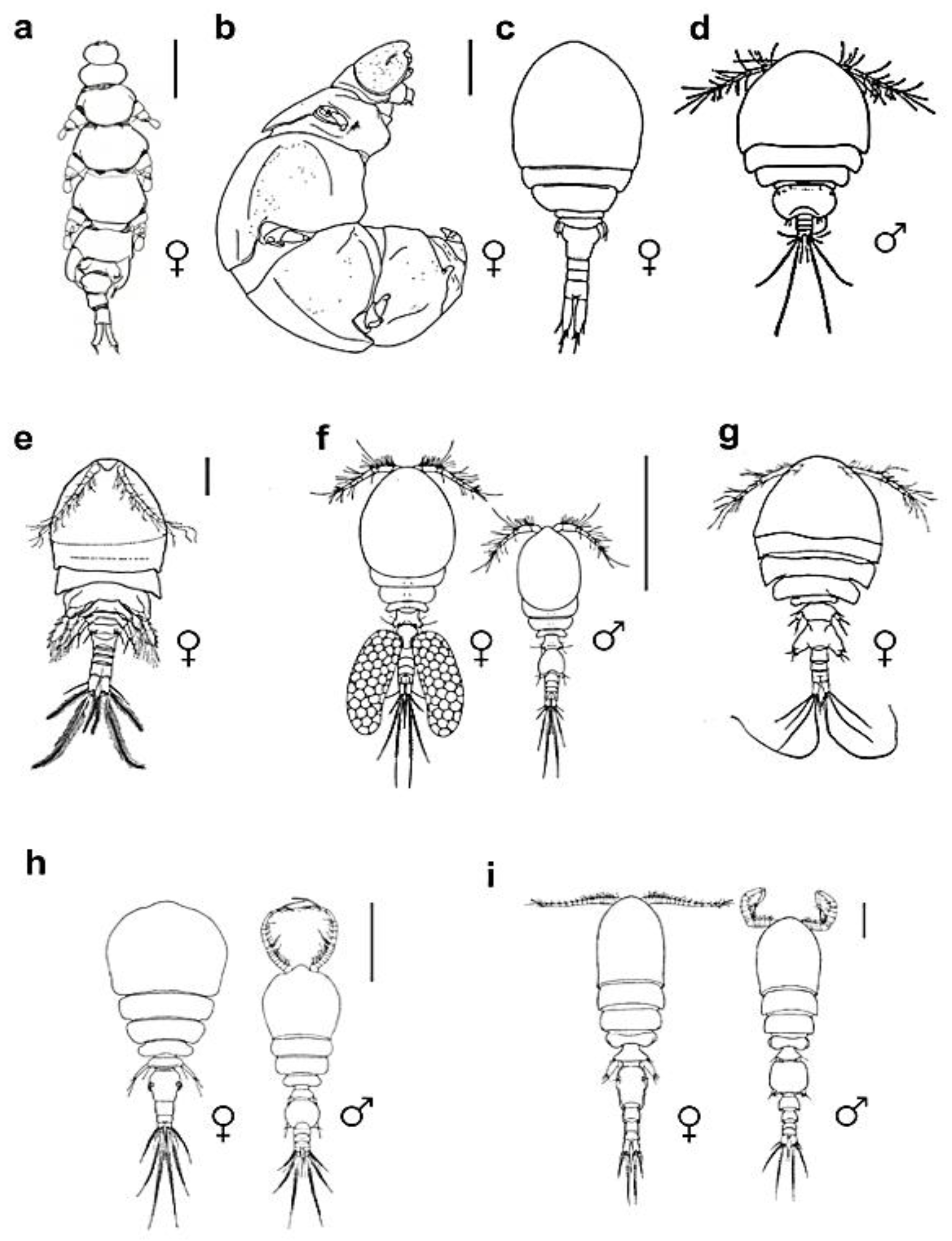 Preprints 92246 g002