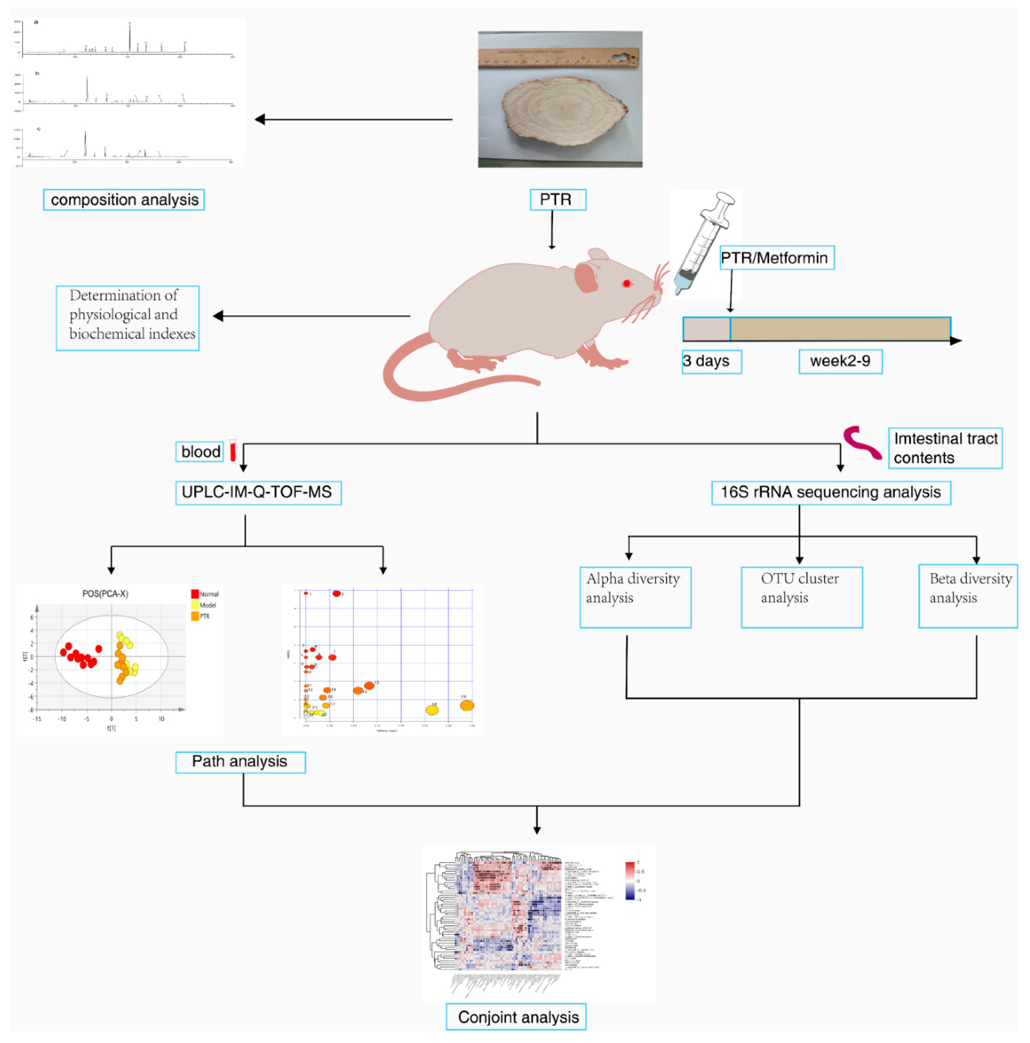 Preprints 69444 g001