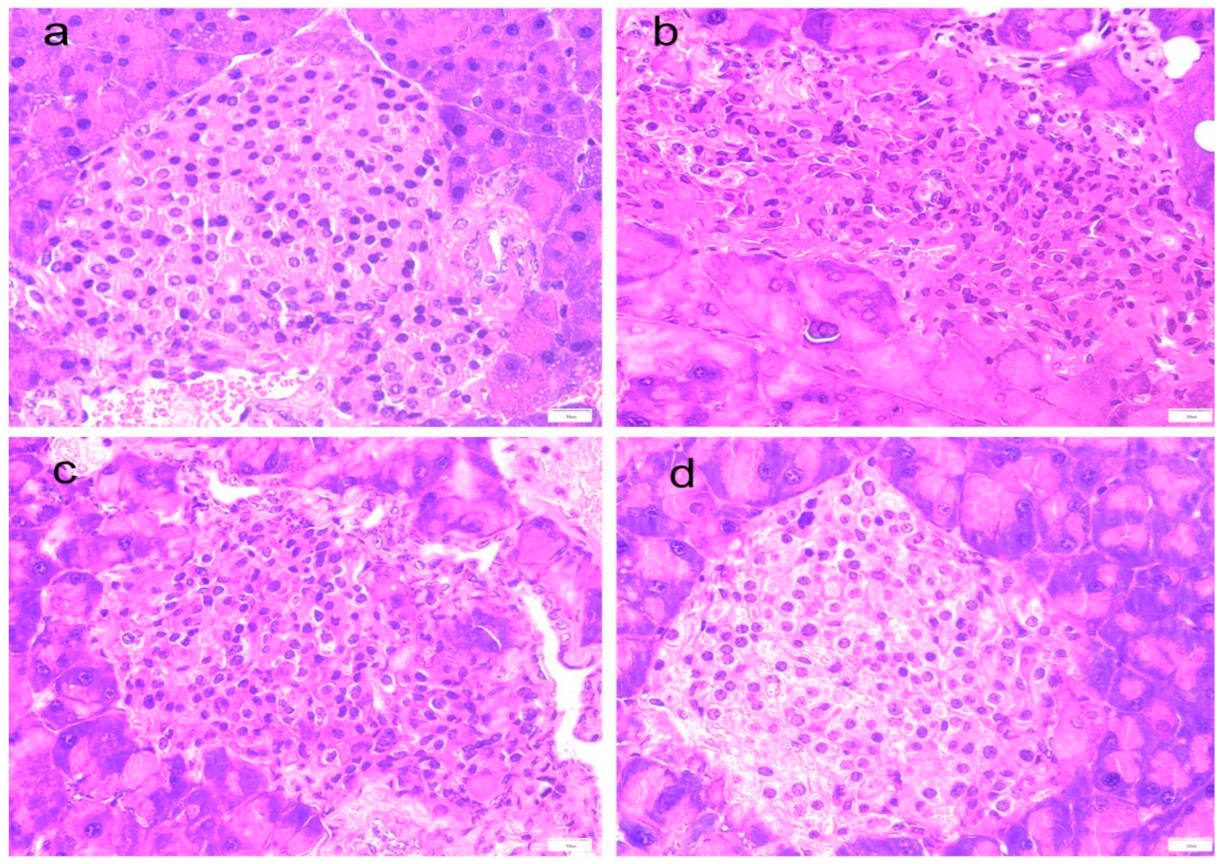 Preprints 69444 g003