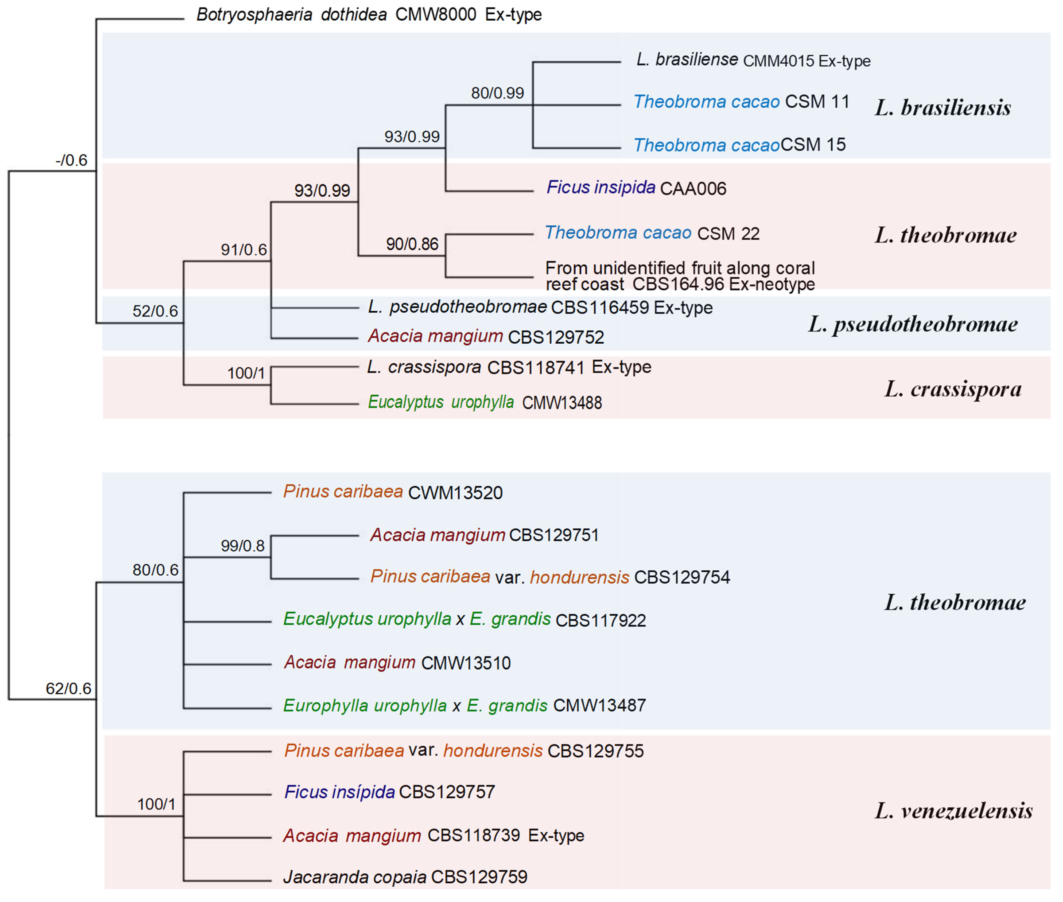 Preprints 77627 g001