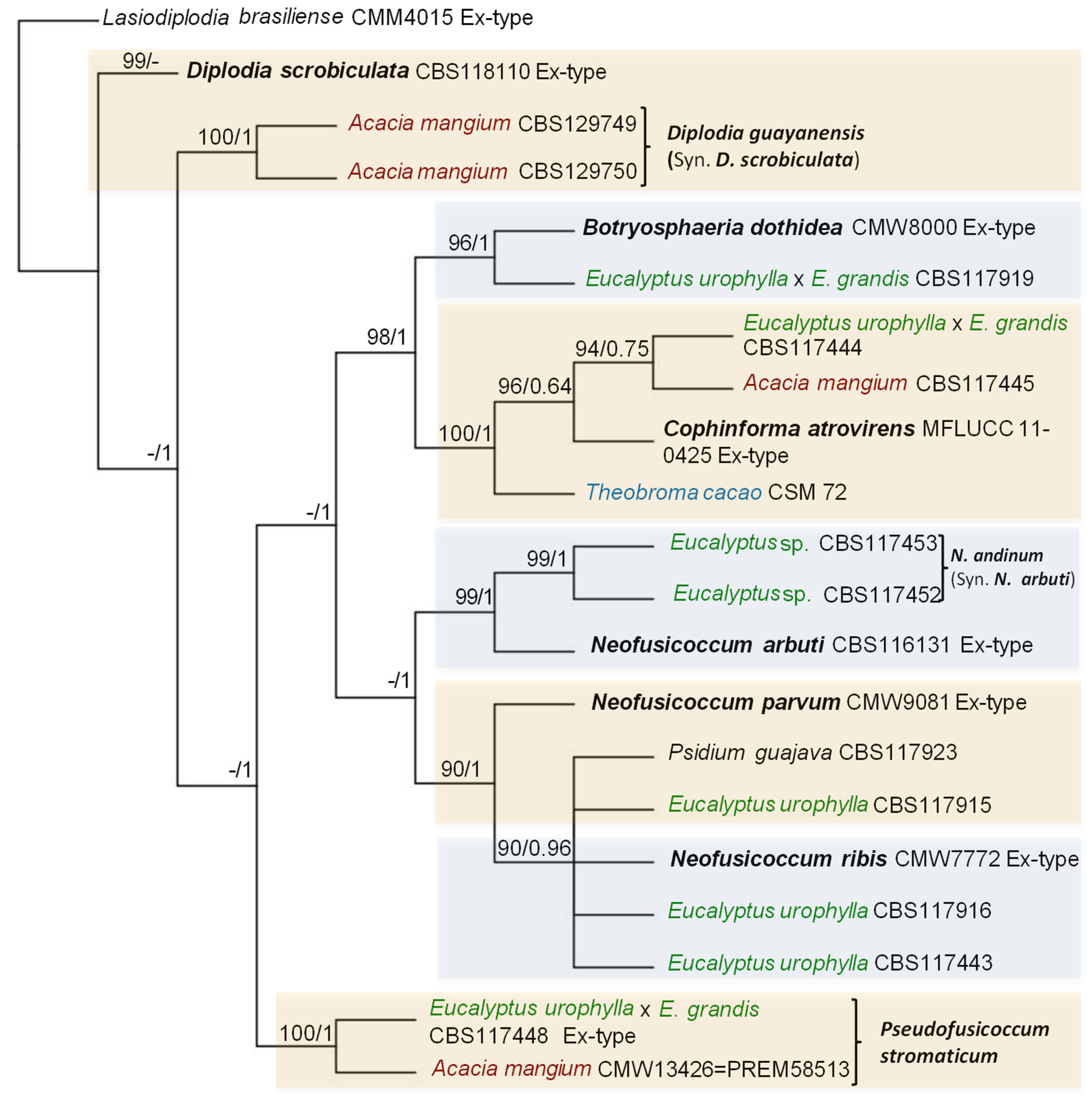 Preprints 77627 g002