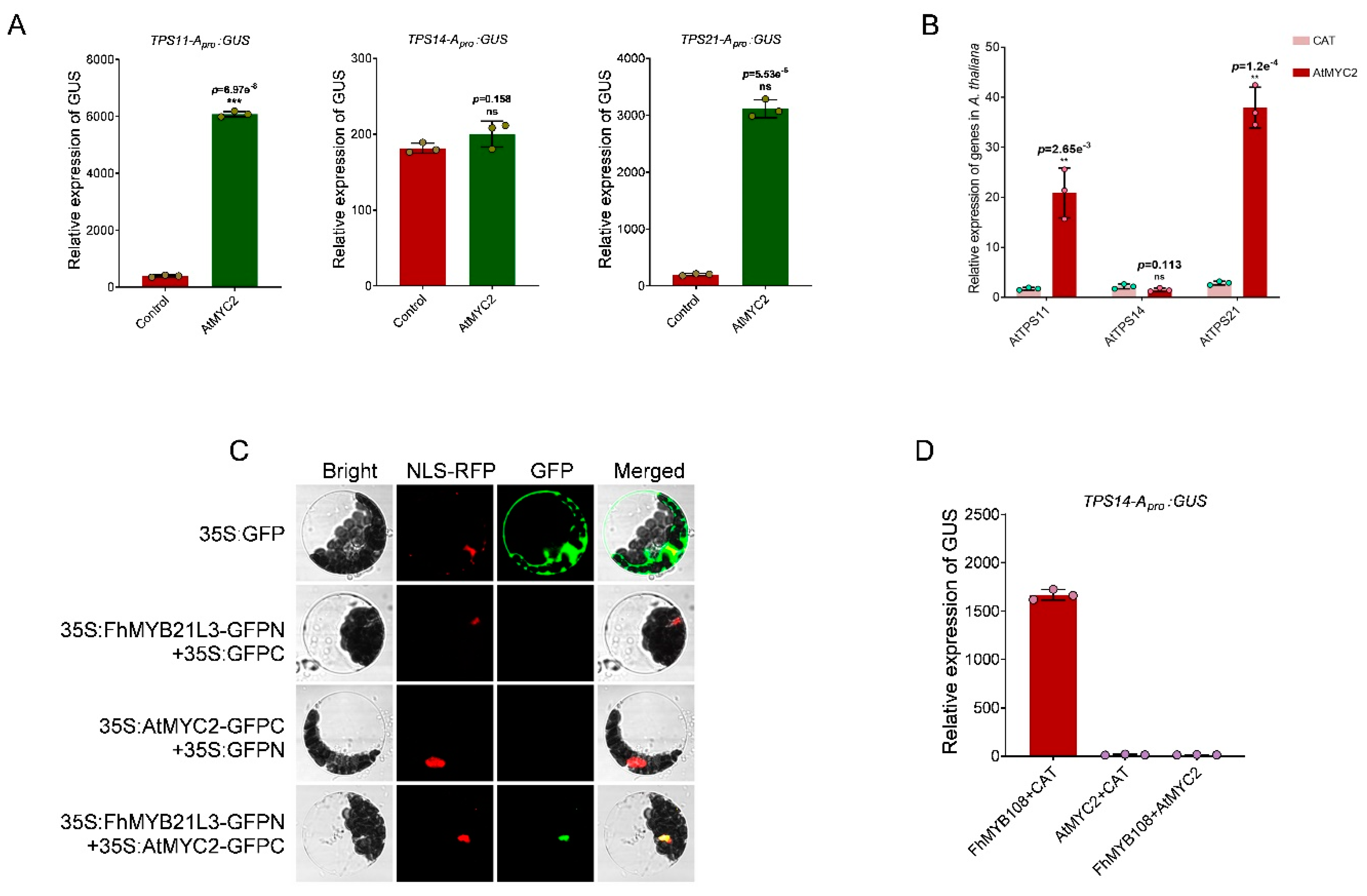 Preprints 109409 g006